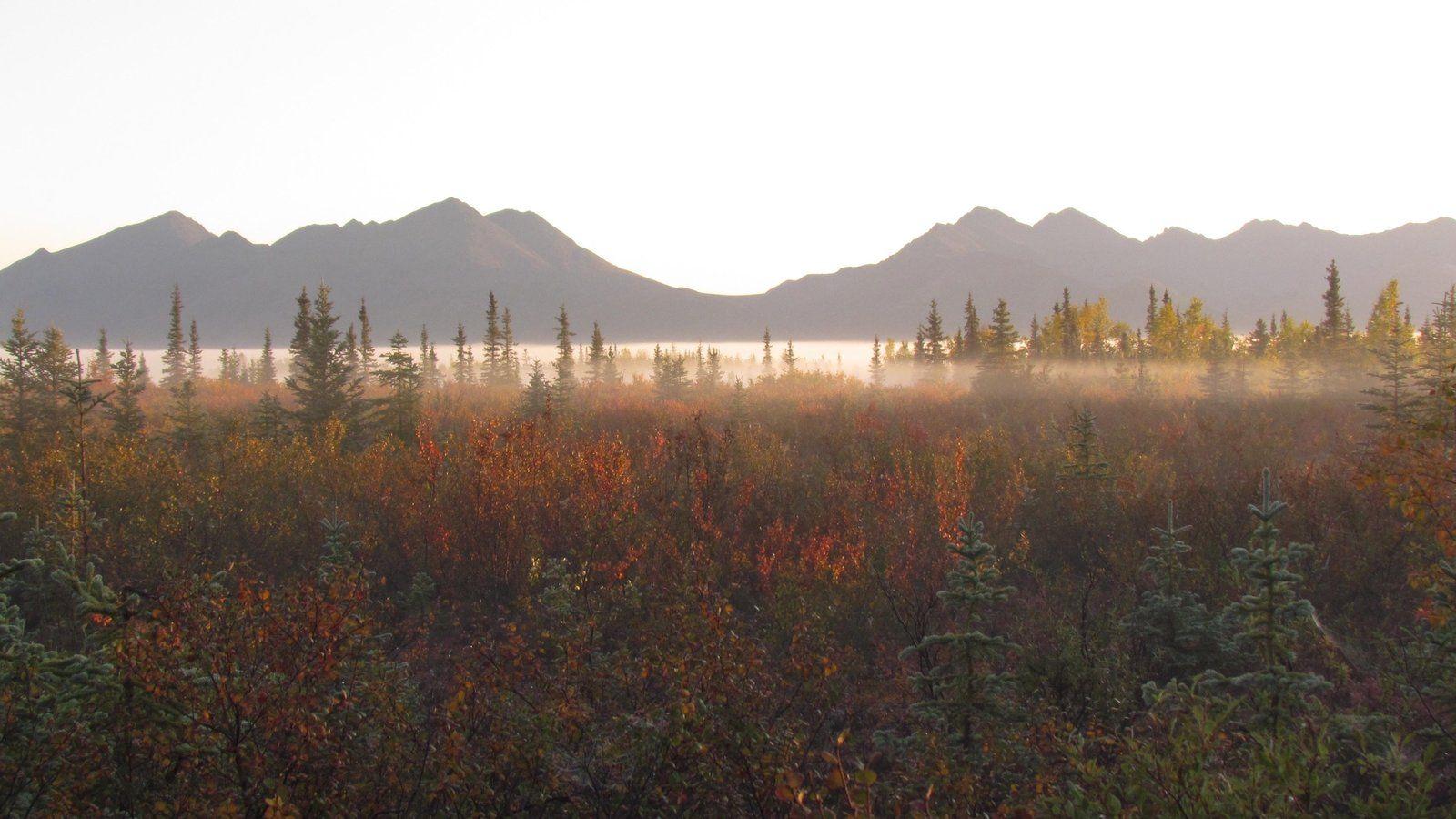 Fall Picture: View Image of Kobuk Valley National Park