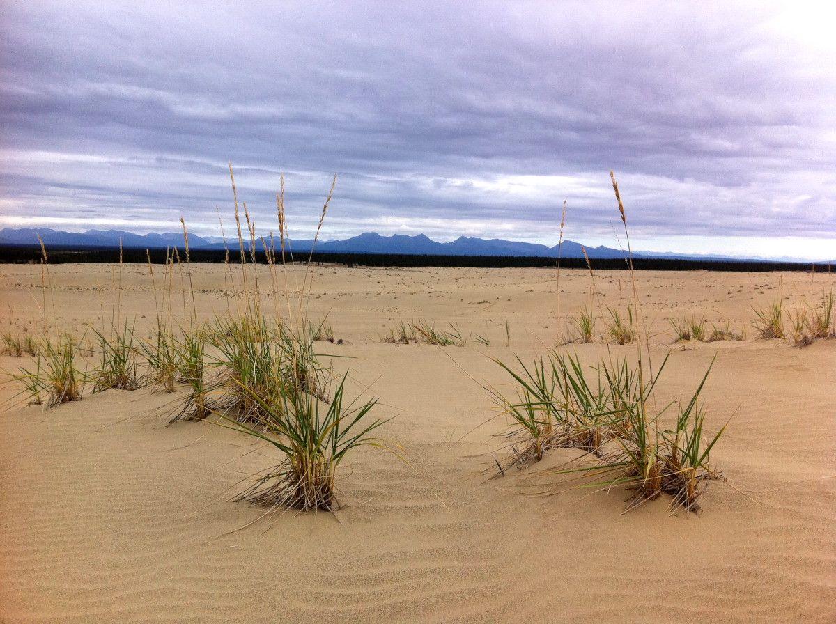 Kobuk Valley National Park, Alaska. Kobuk Valley National Park