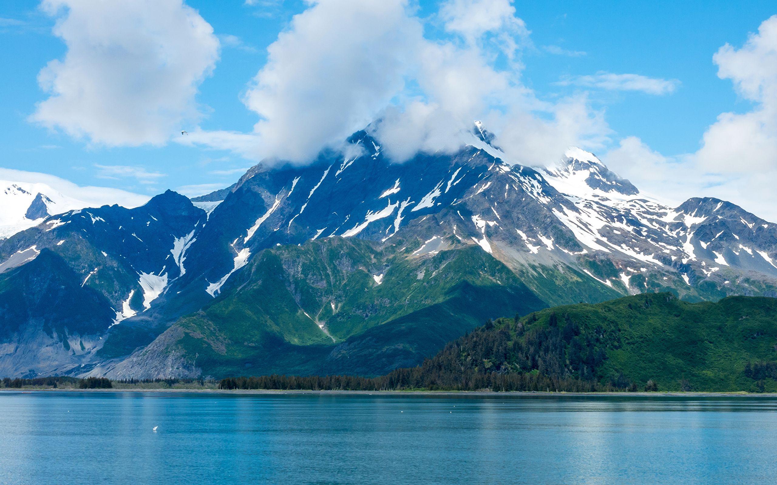 Wallpaper Alaska USA Kenai Fjords Nature Mountains Lake 2560x1600