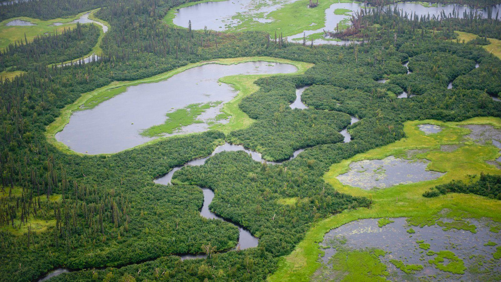 Peaceful Picture: View Image of Kobuk Valley National Park