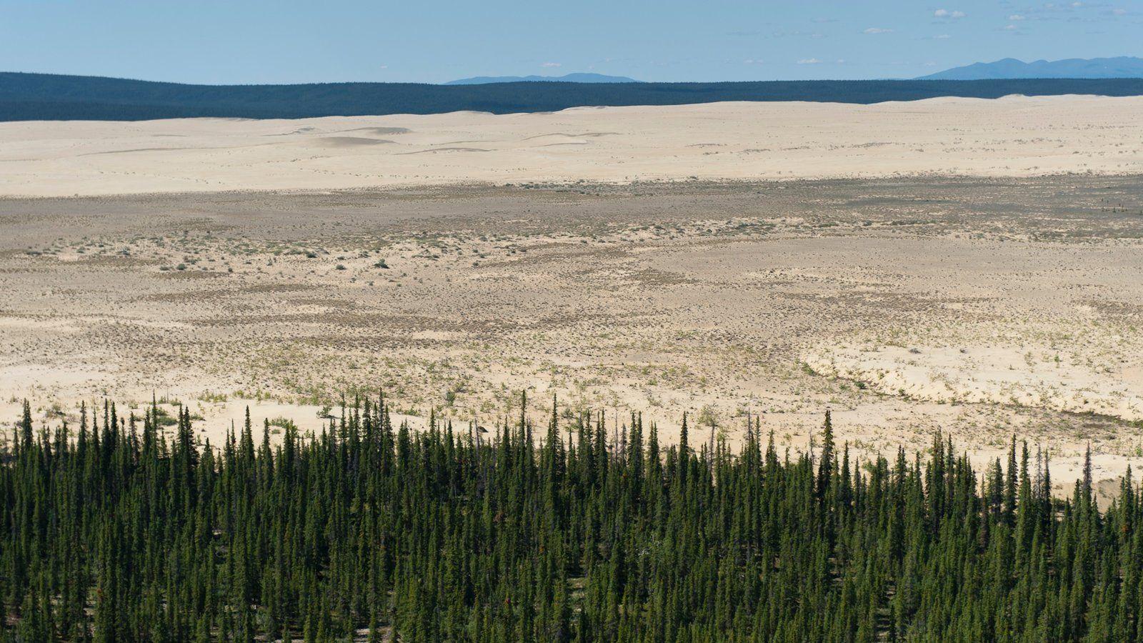 Winter Picture: View Image of Kobuk Valley National Park