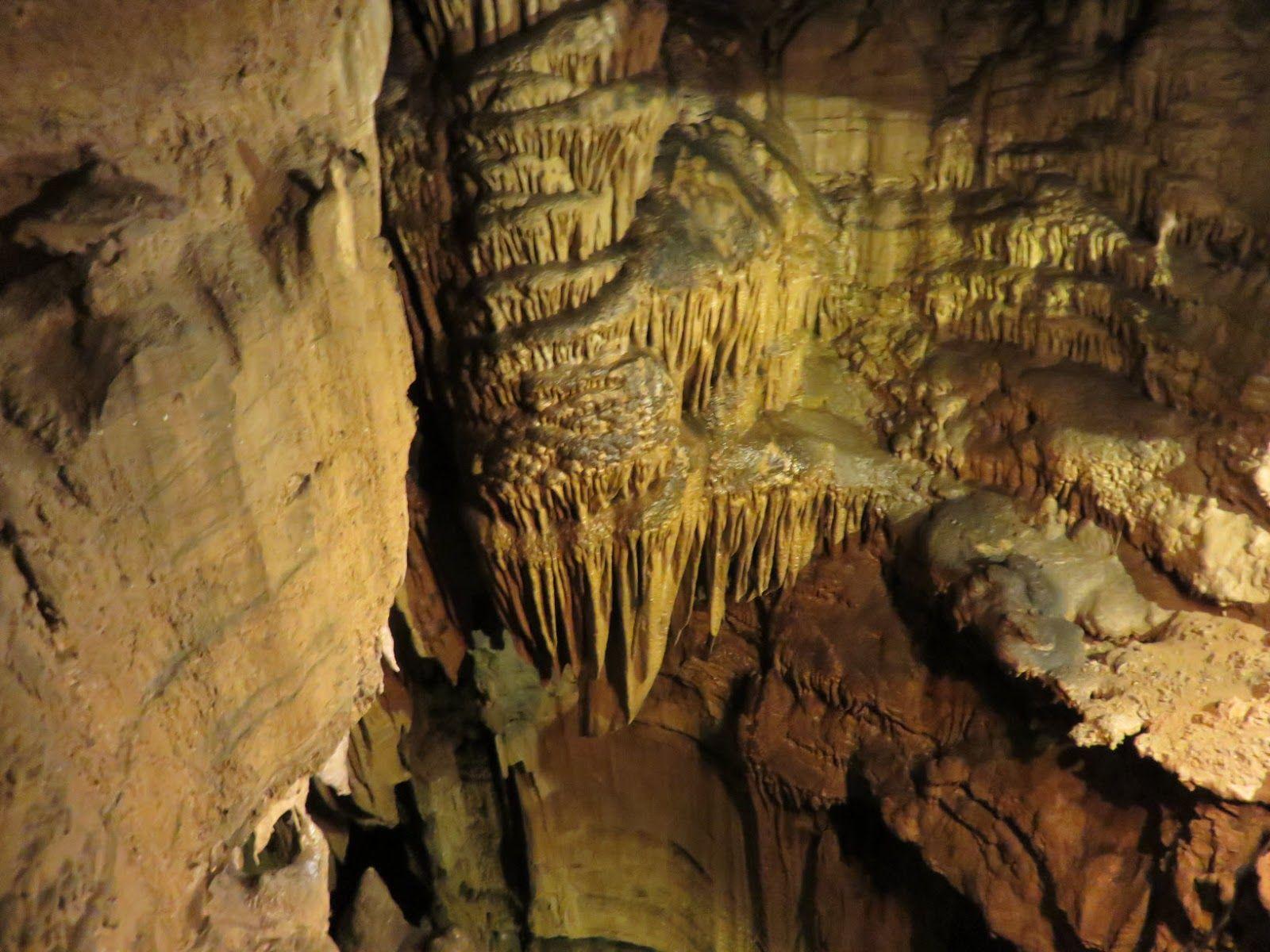 ShoreXplorers: Mammoth Cave is (Well) Just Mammoth