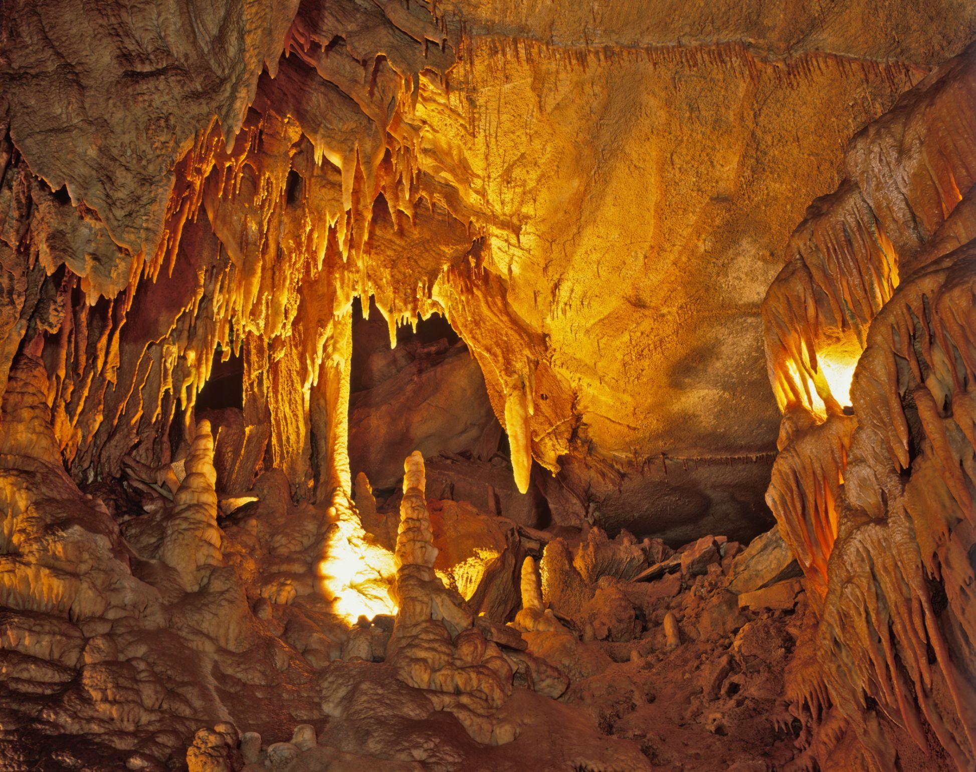 Mammoth Cave National Park Top Attractions