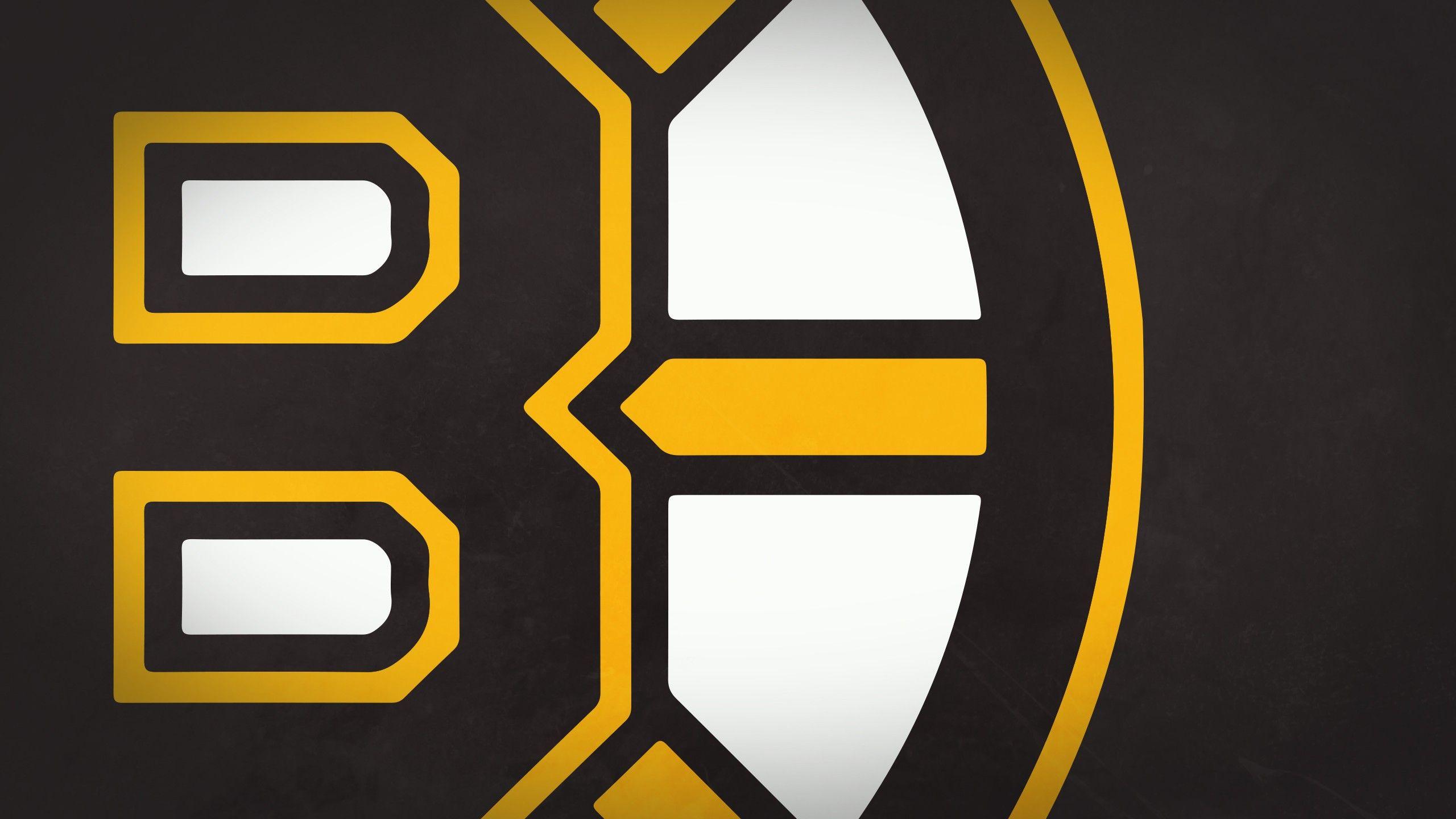 Boston Bruins Full HD Wallpapers and Backgrounds Image.