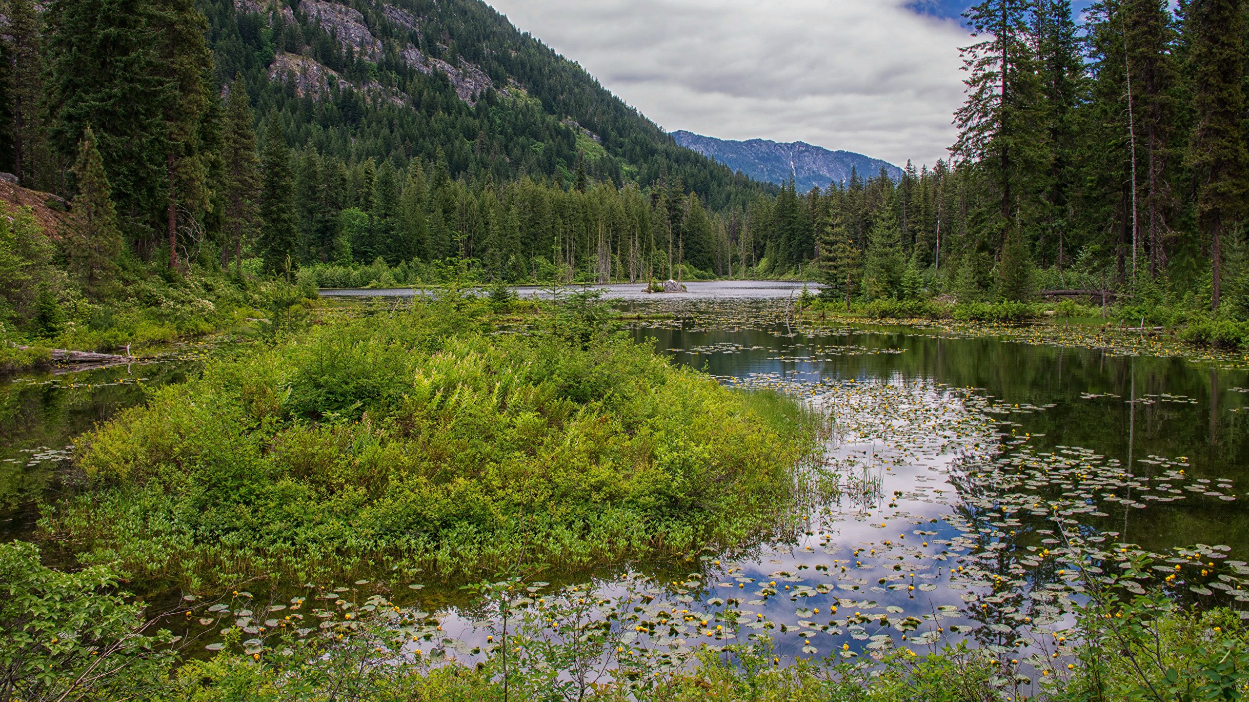 image USA Howard Lake North Cascades National Park Nature 2560x1440