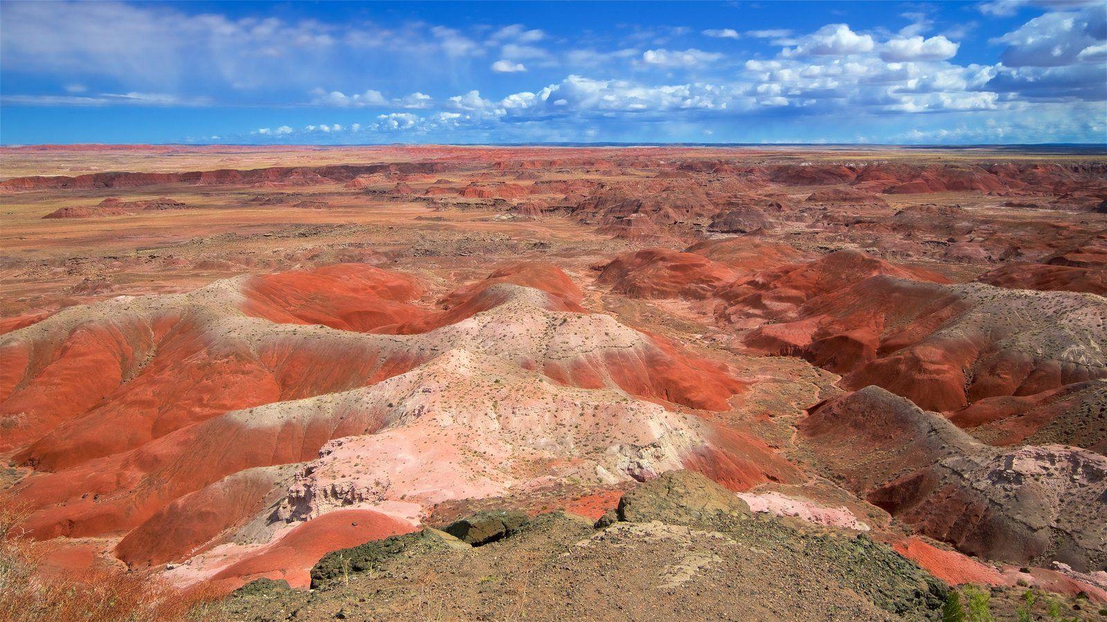 Landscape Picture: View Image of Petrified Forest National Park