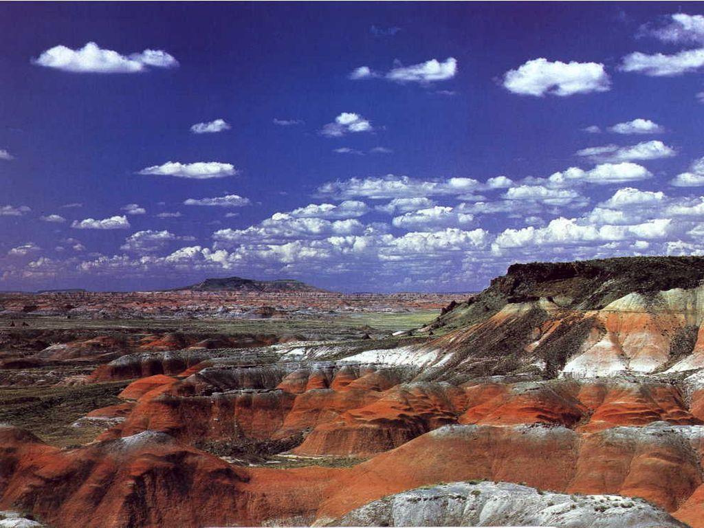 Petrified Forest California. Places I'd Like to Go