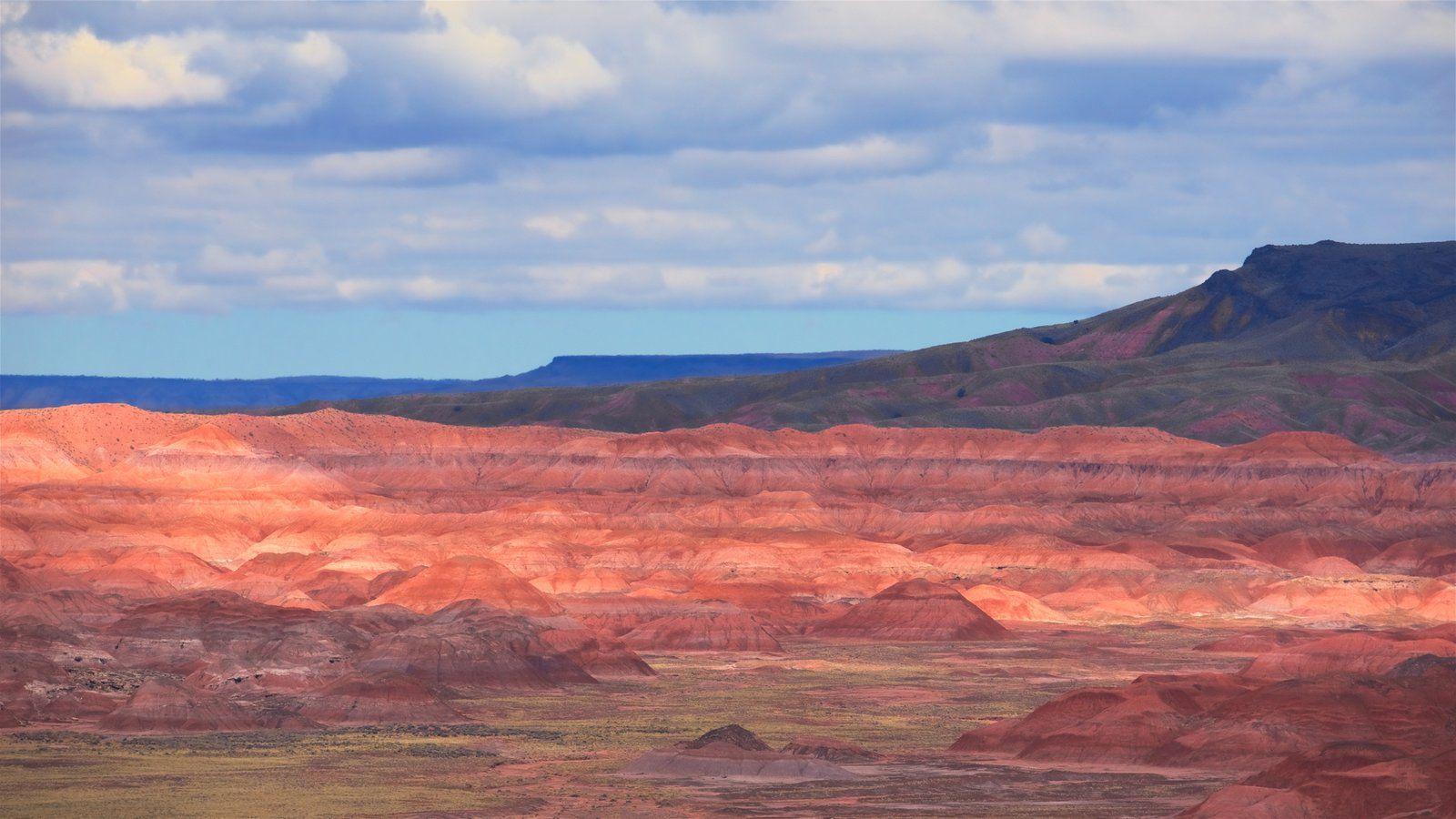 Landscape Picture: View Image of Petrified Forest National Park