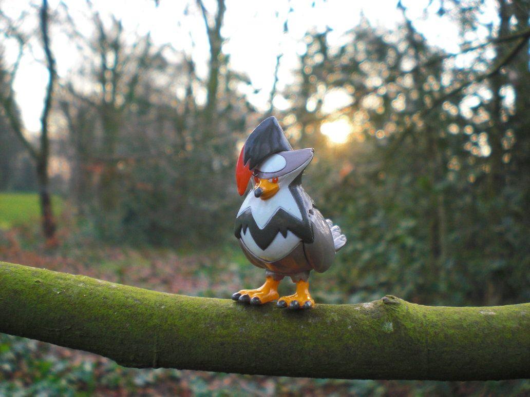 A Wild Staraptor Appeared