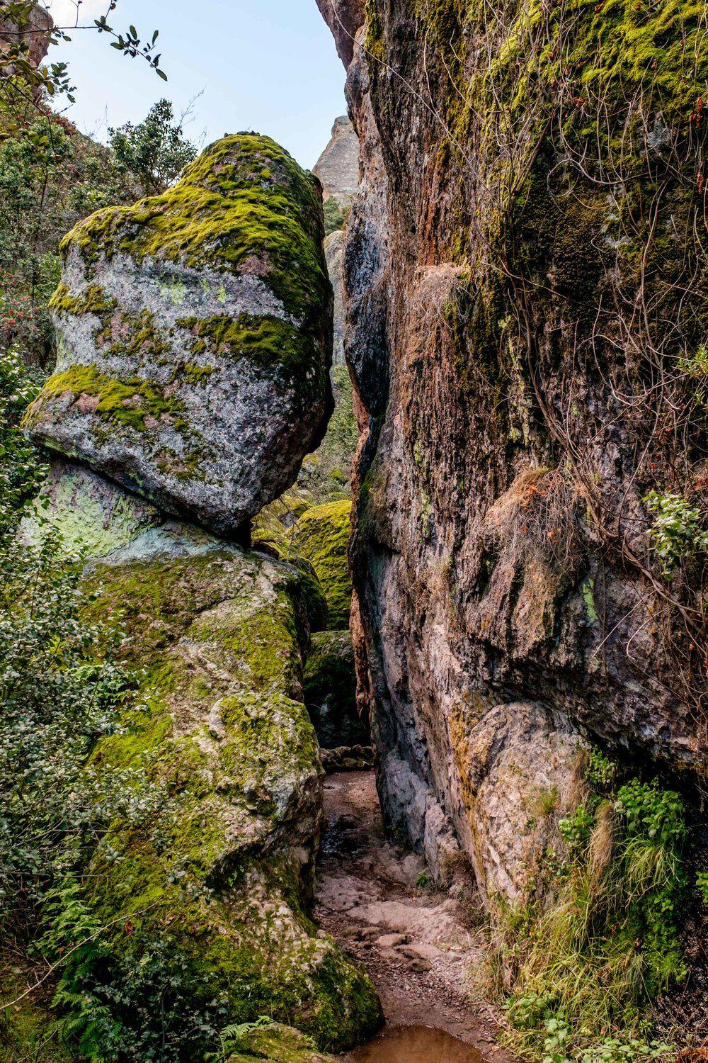 Pinnacles National Park