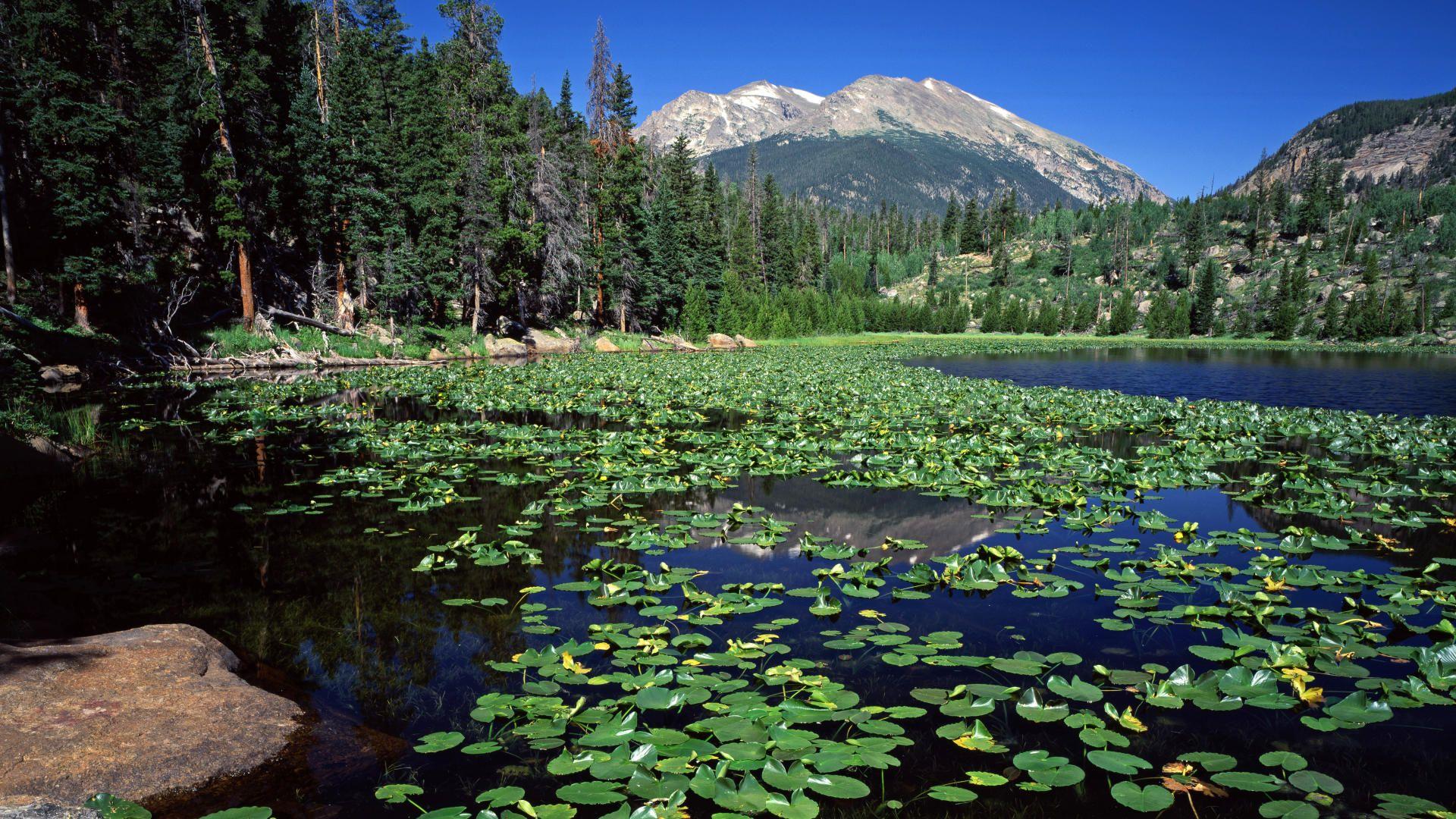 Download Background Lake, Stones Mountain, Rocky Mountain