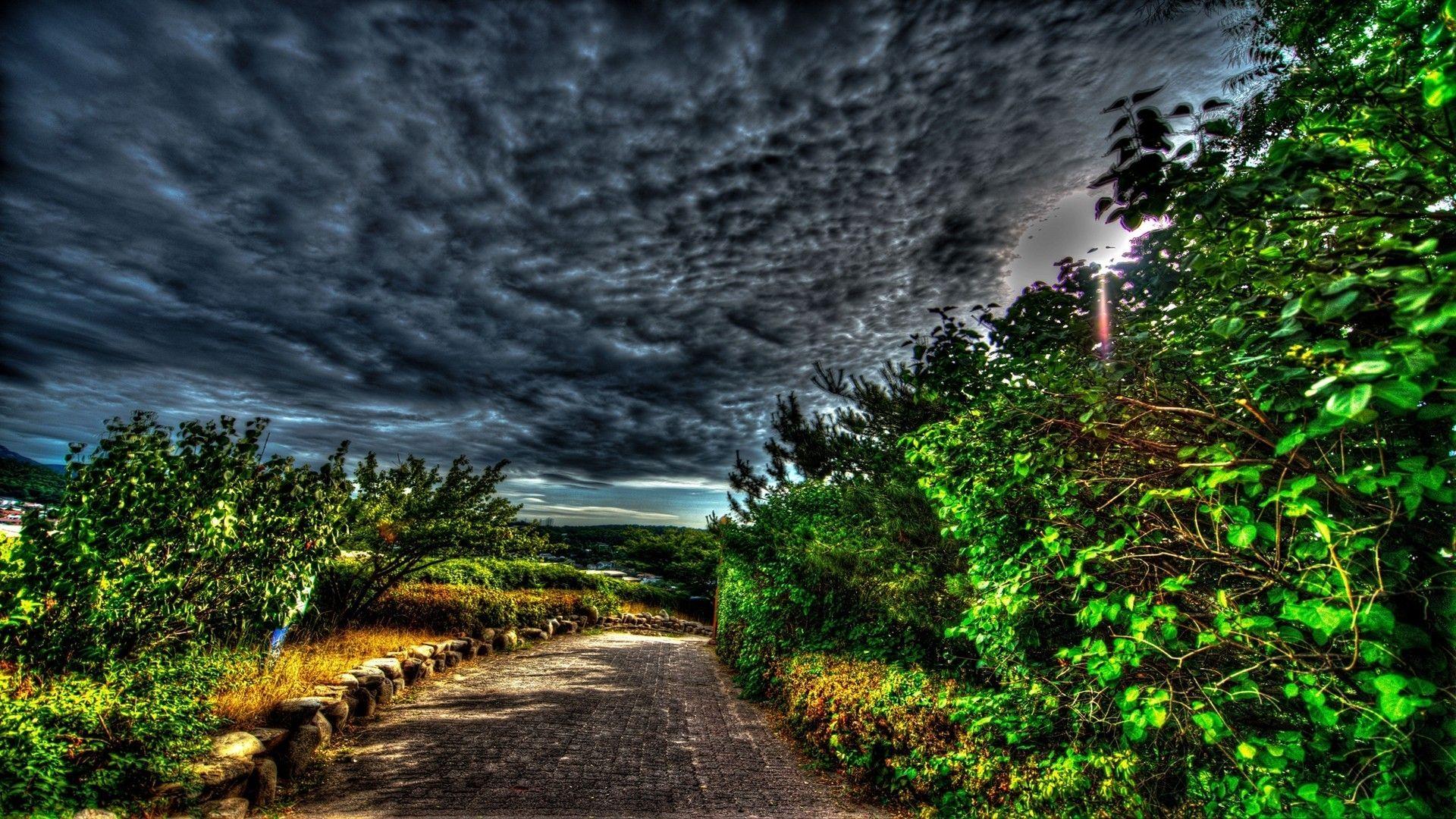 Sky: Cobblestone Path Nature Dark Clouds Landscapes Trees Paths
