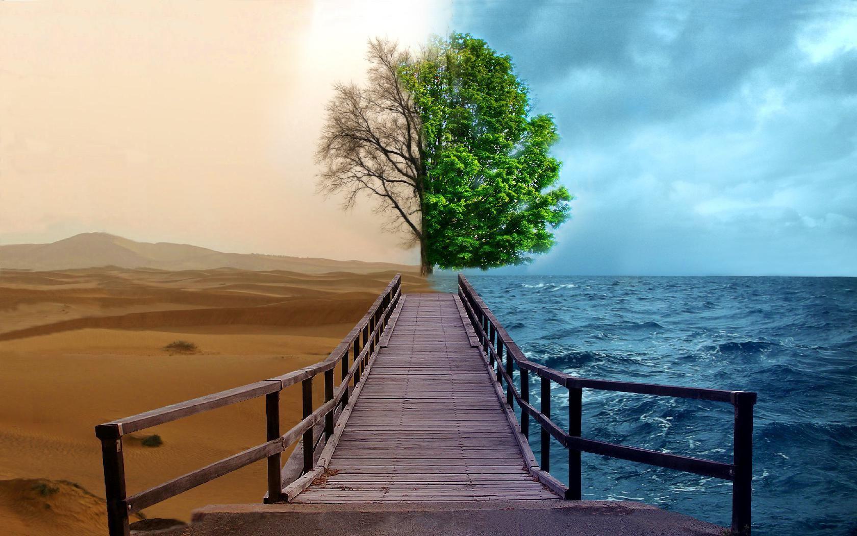 trees, landscapes, ocean, photo manipulation, sea, bridges