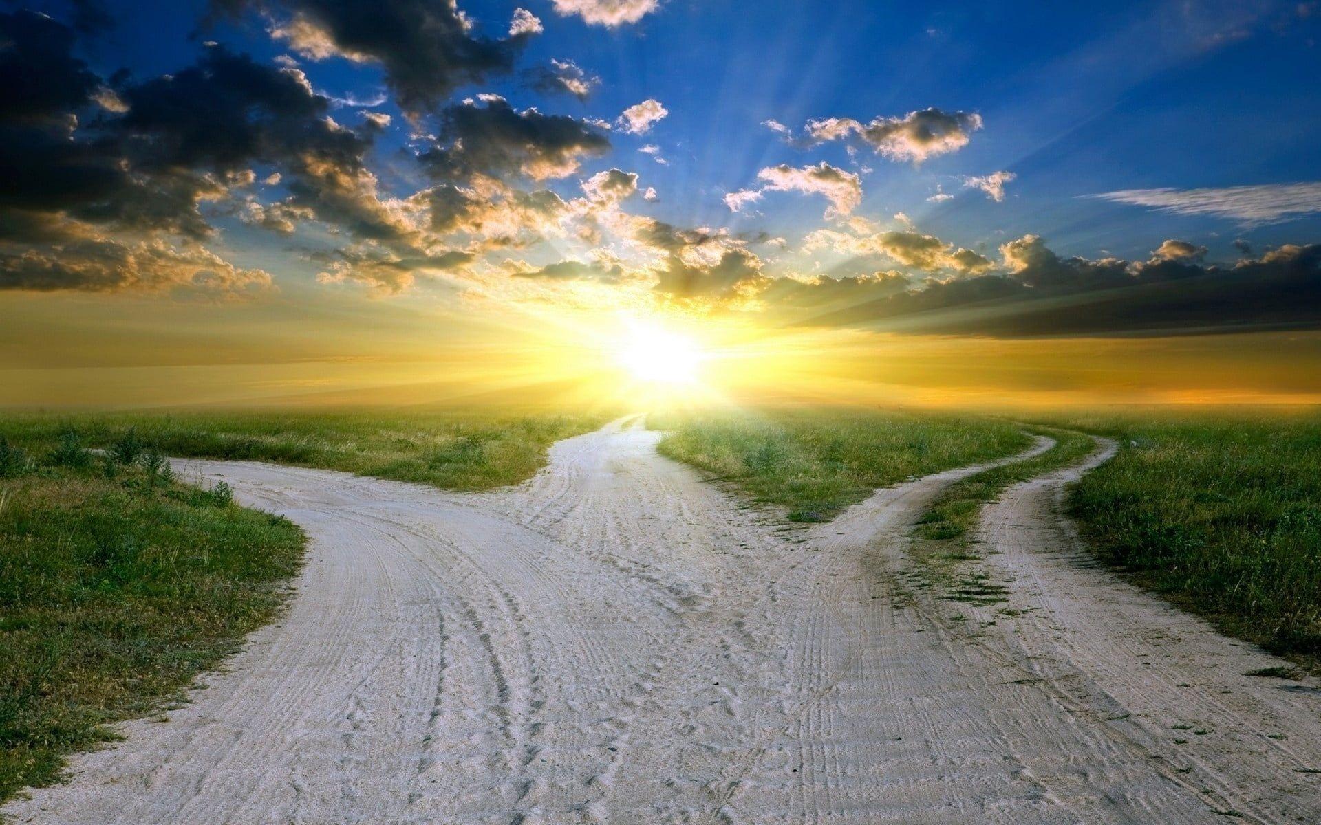 Three paths during sunrise HD wallpaper