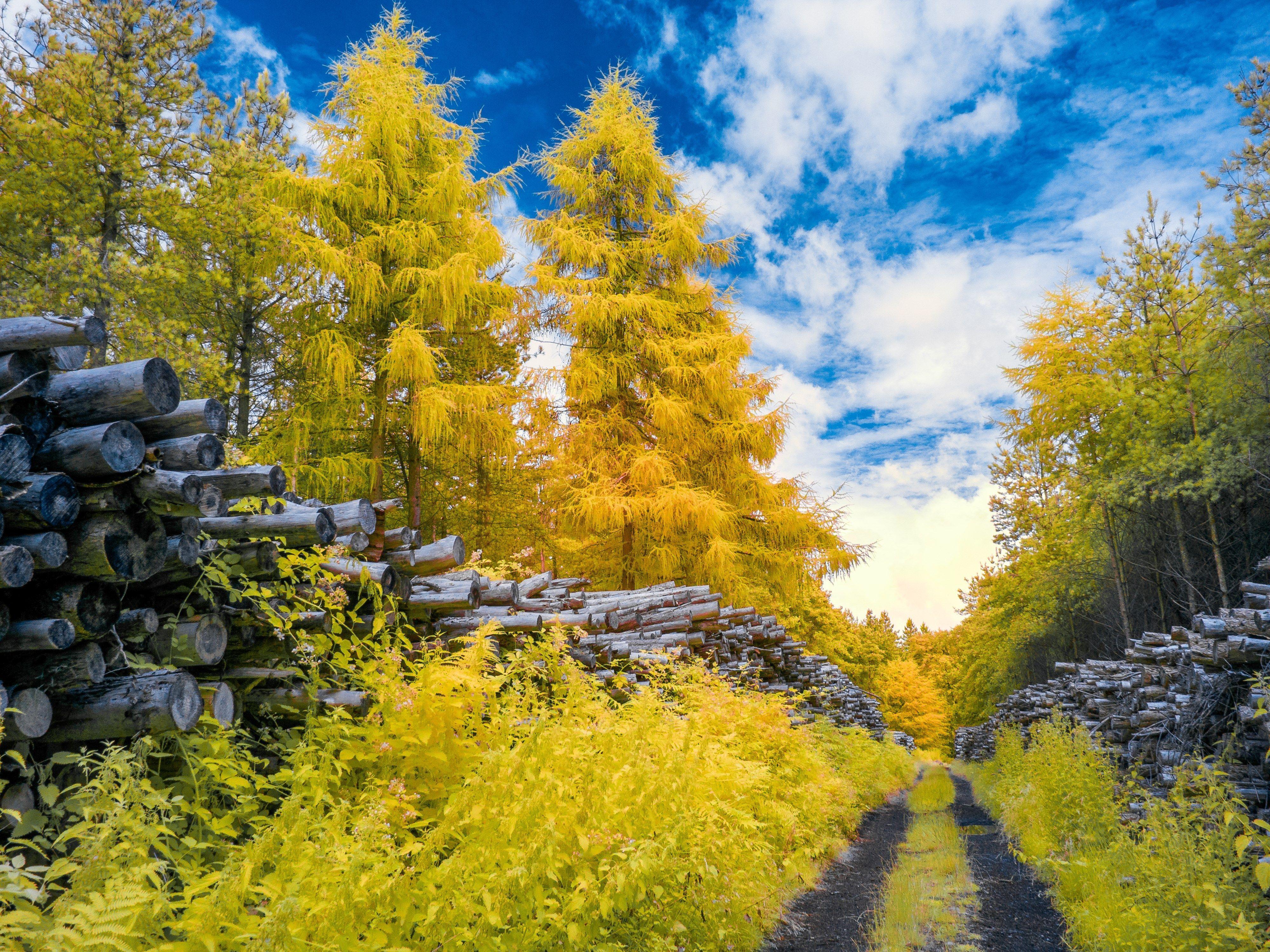 Chadrick Bishop image path px