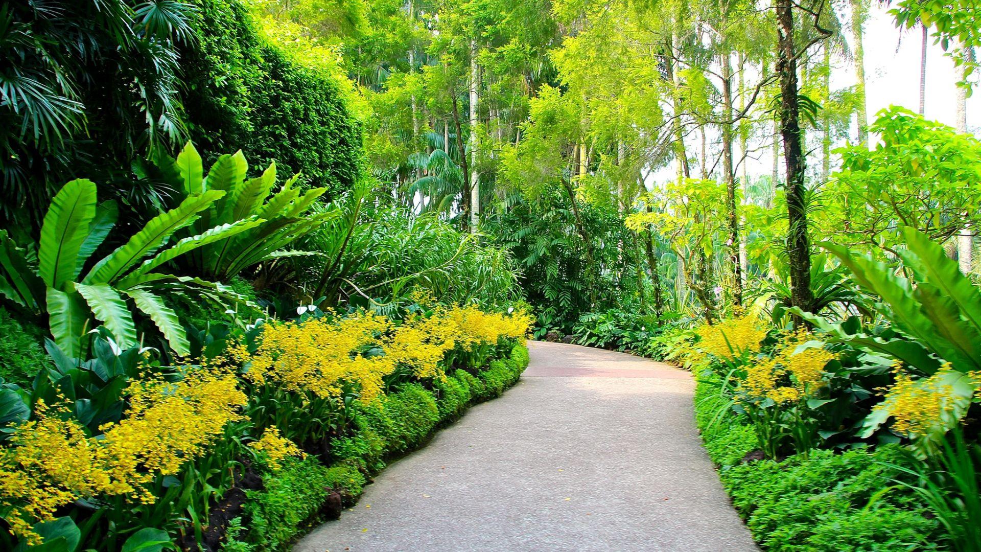 Download Wallpaper 1920x1080 Singapore, Botanic gardens, Walking