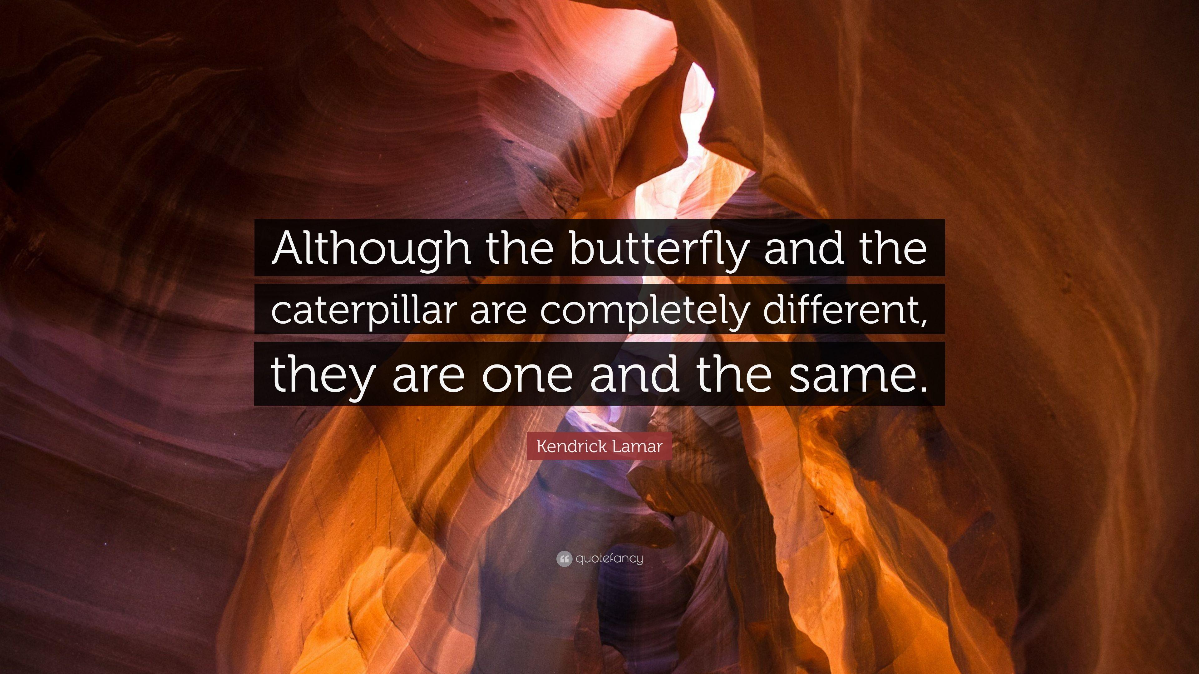Kendrick Lamar Quote: “Although the butterfly and the caterpillar are completely different, they are one and the same.” (10 wallpaper)