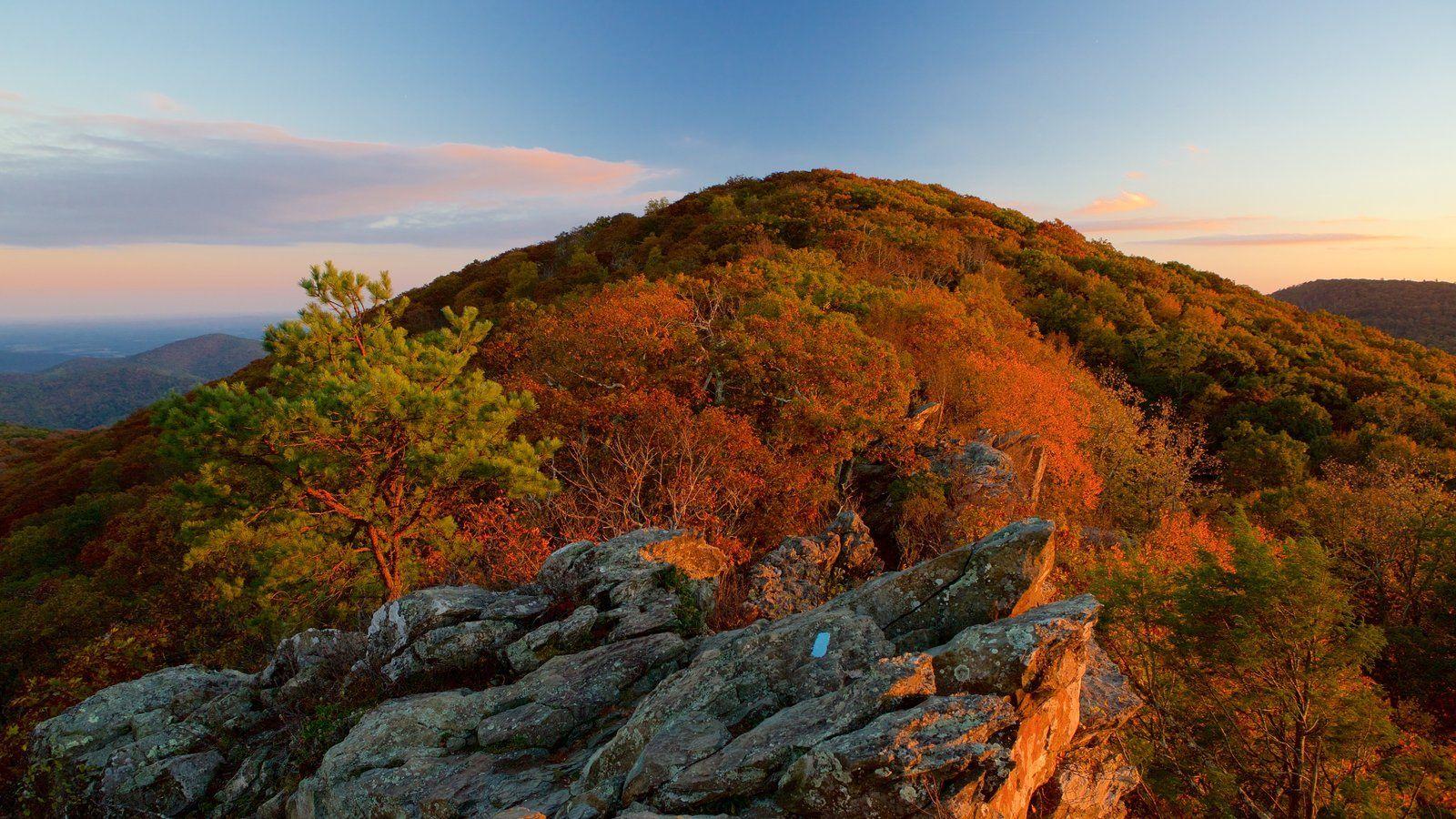 Mountain Picture: View Image of Shenandoah National Park