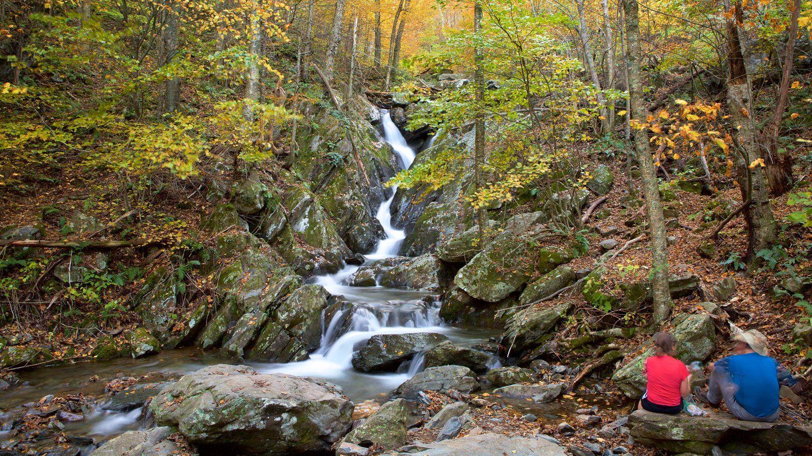 Nature Picture: View Image of Shenandoah National Park