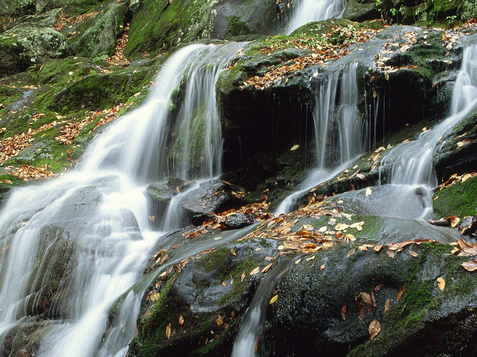 Image Detail for National Park Virginia US