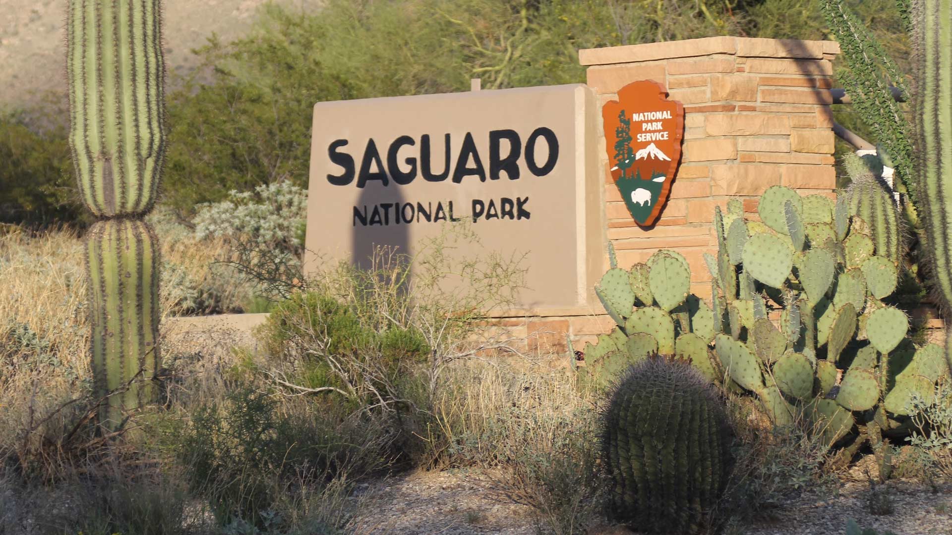 Record Numbers Visit Saguaro National Park, Mirroring National