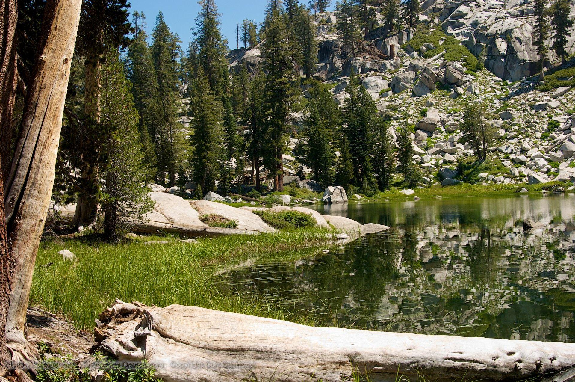 Secluded Pond at Sequoia National Park Desktop Wallpaper