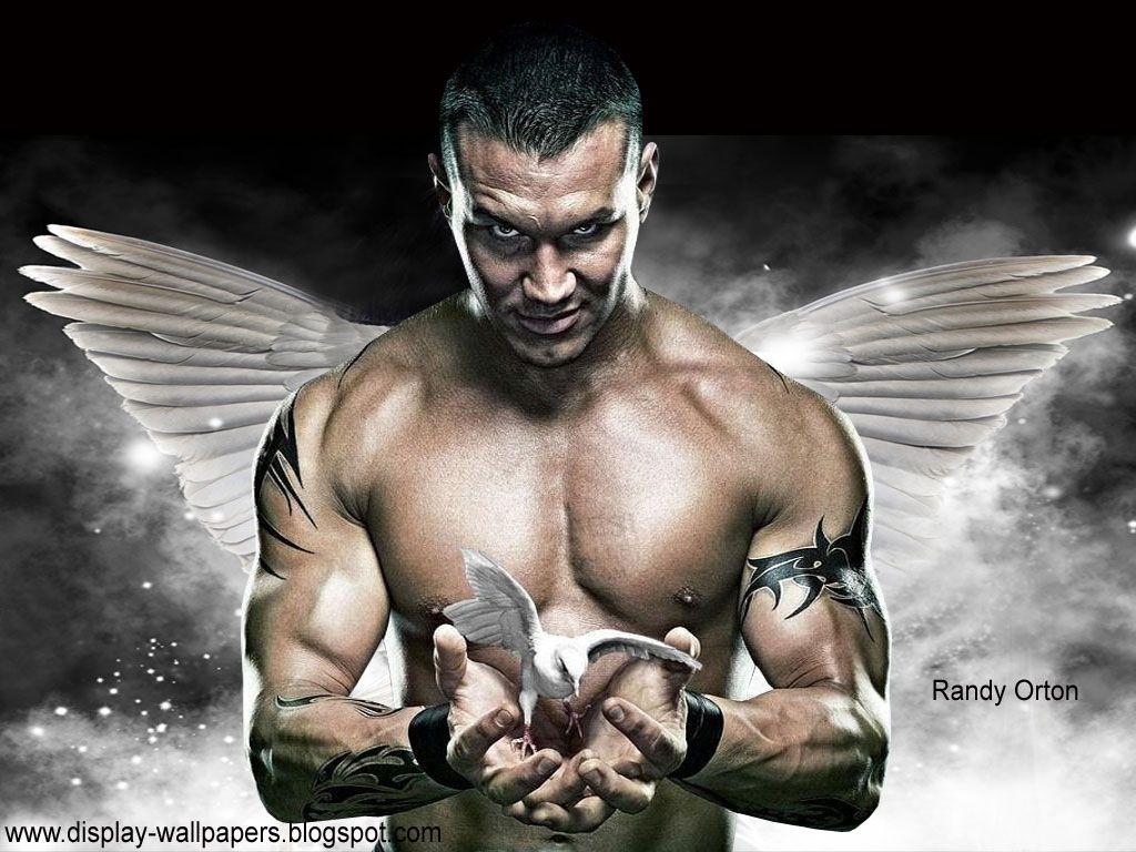 Randy Orton HD Wallpaper Wallpaper 1024x768