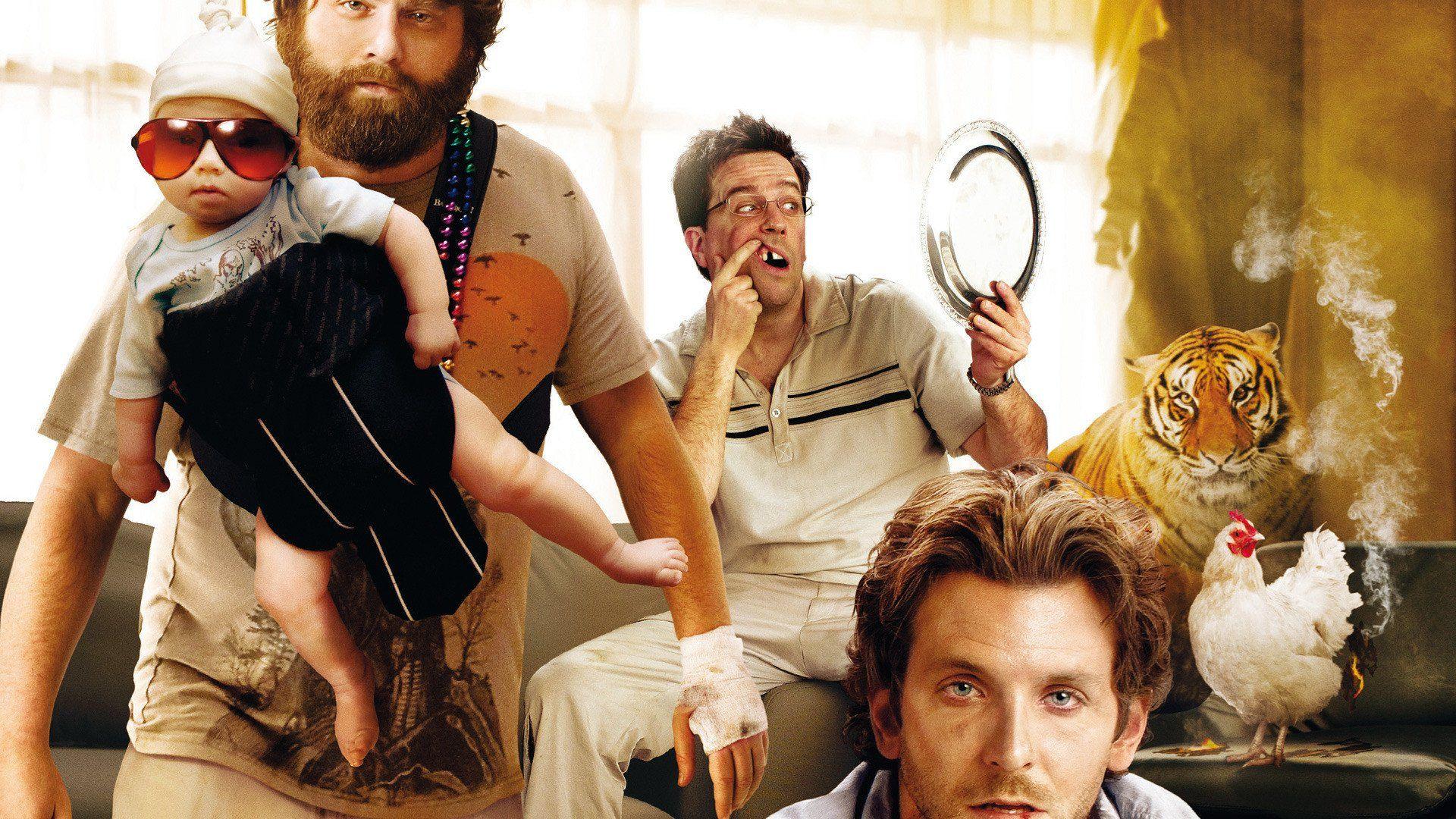 The Hangover Full HD Wallpaper and Background Imagex1080