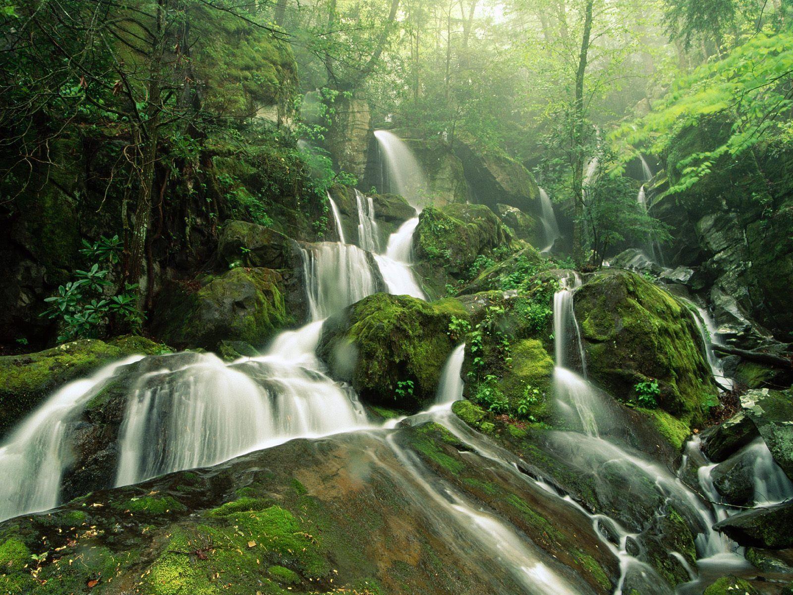Image detail for -. Tropical Waterfalls, photo US Virgin