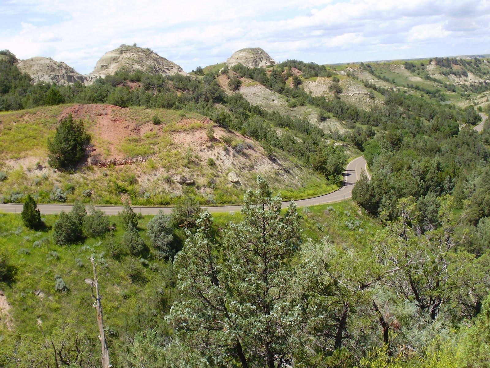 Life at 55 mph: Theodore Roosevelt National Park in Medora, North