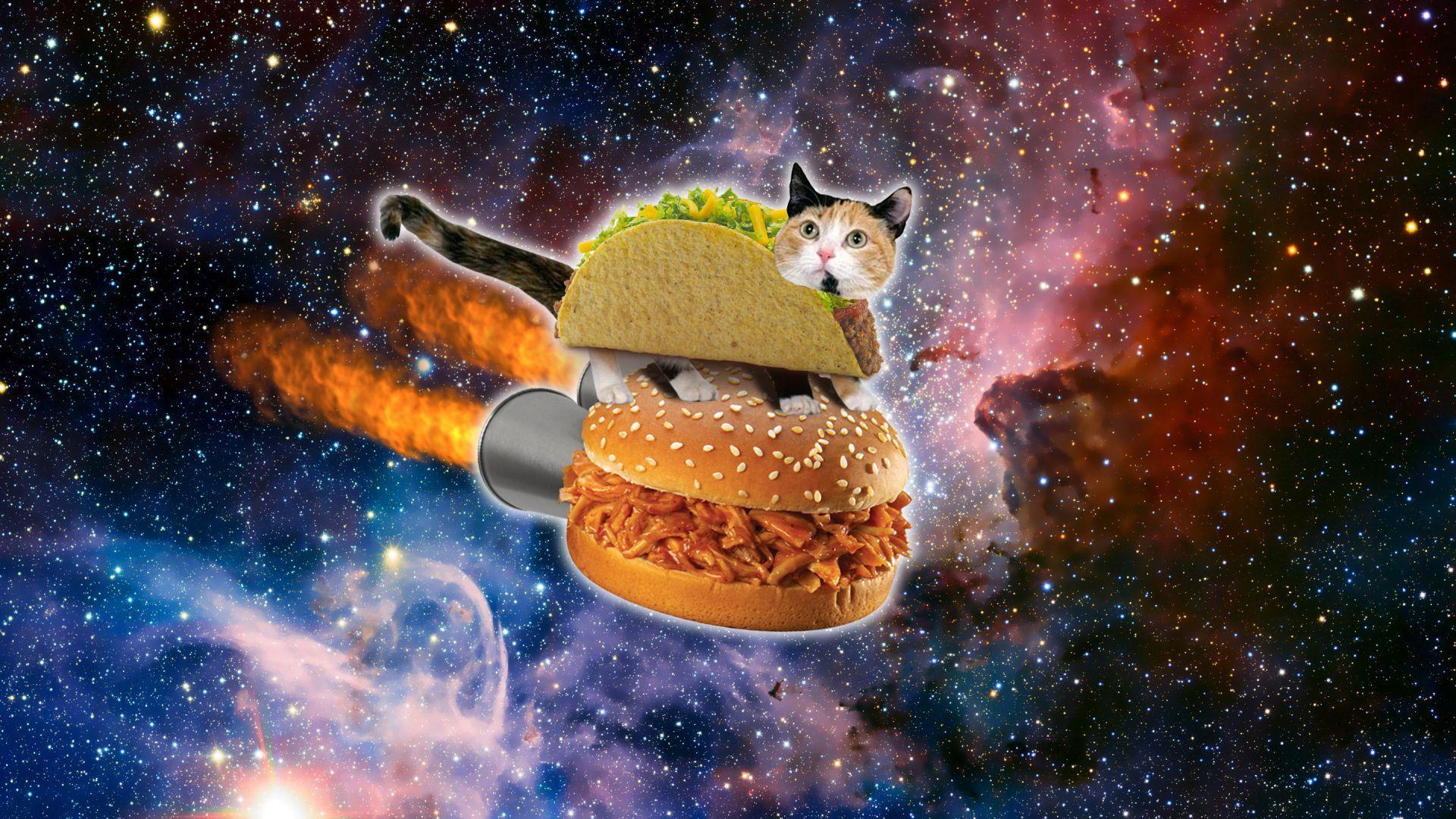OMG. Space cat, Cat wallpaper, Taco cat