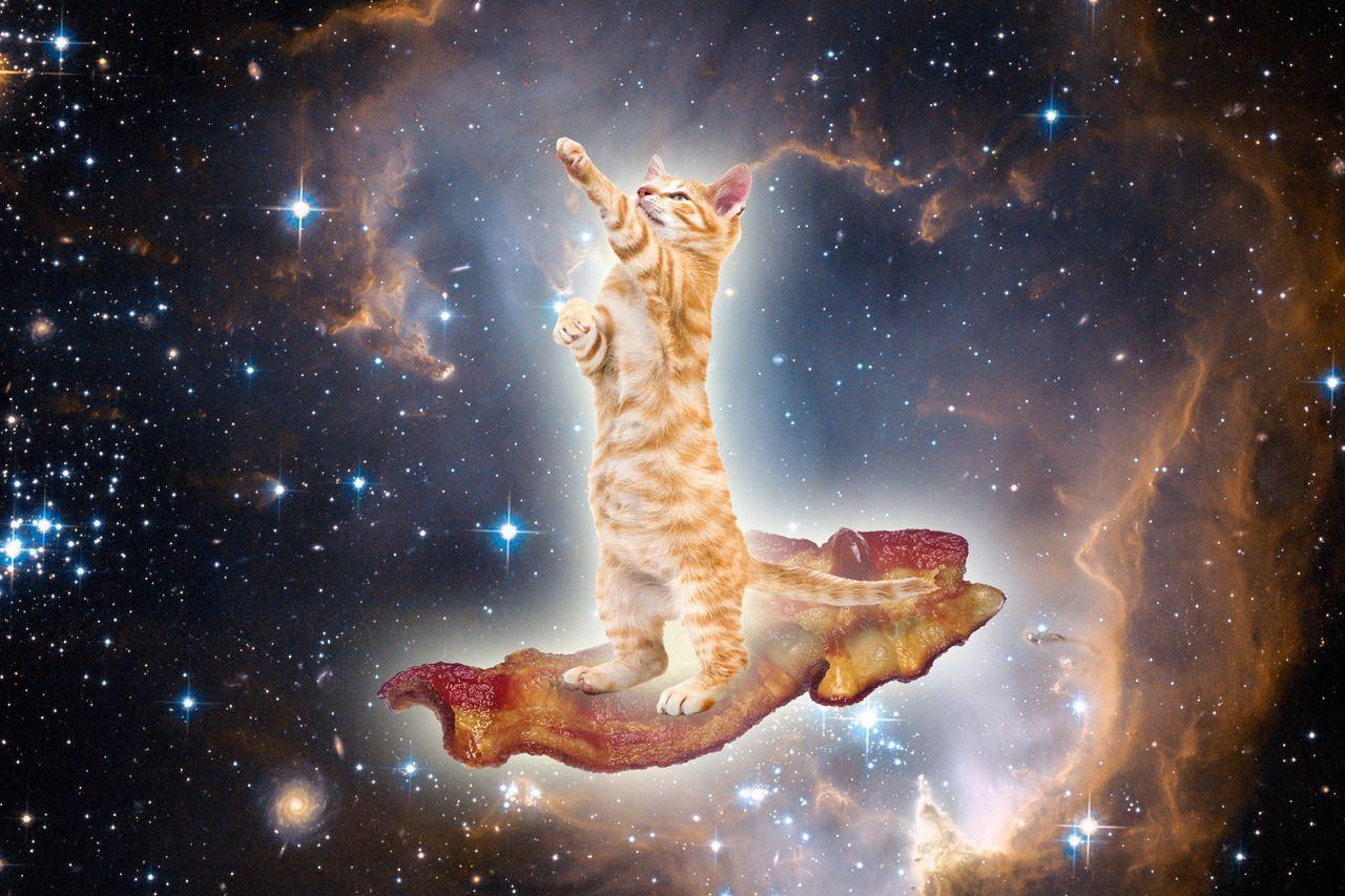 Cat In Galaxy Wallpaper
