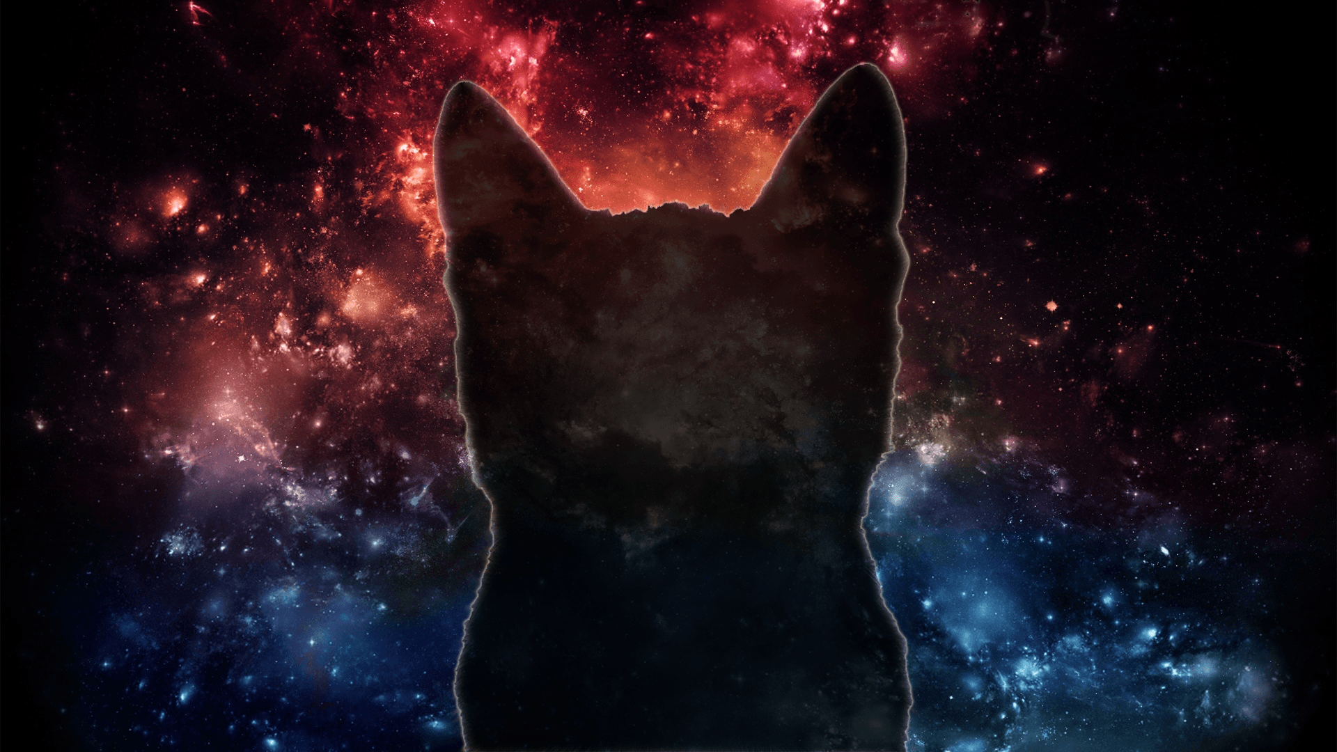 Download Galaxy Moon And Cat Fantasy Artwork Wallpaper  Wallpaperscom