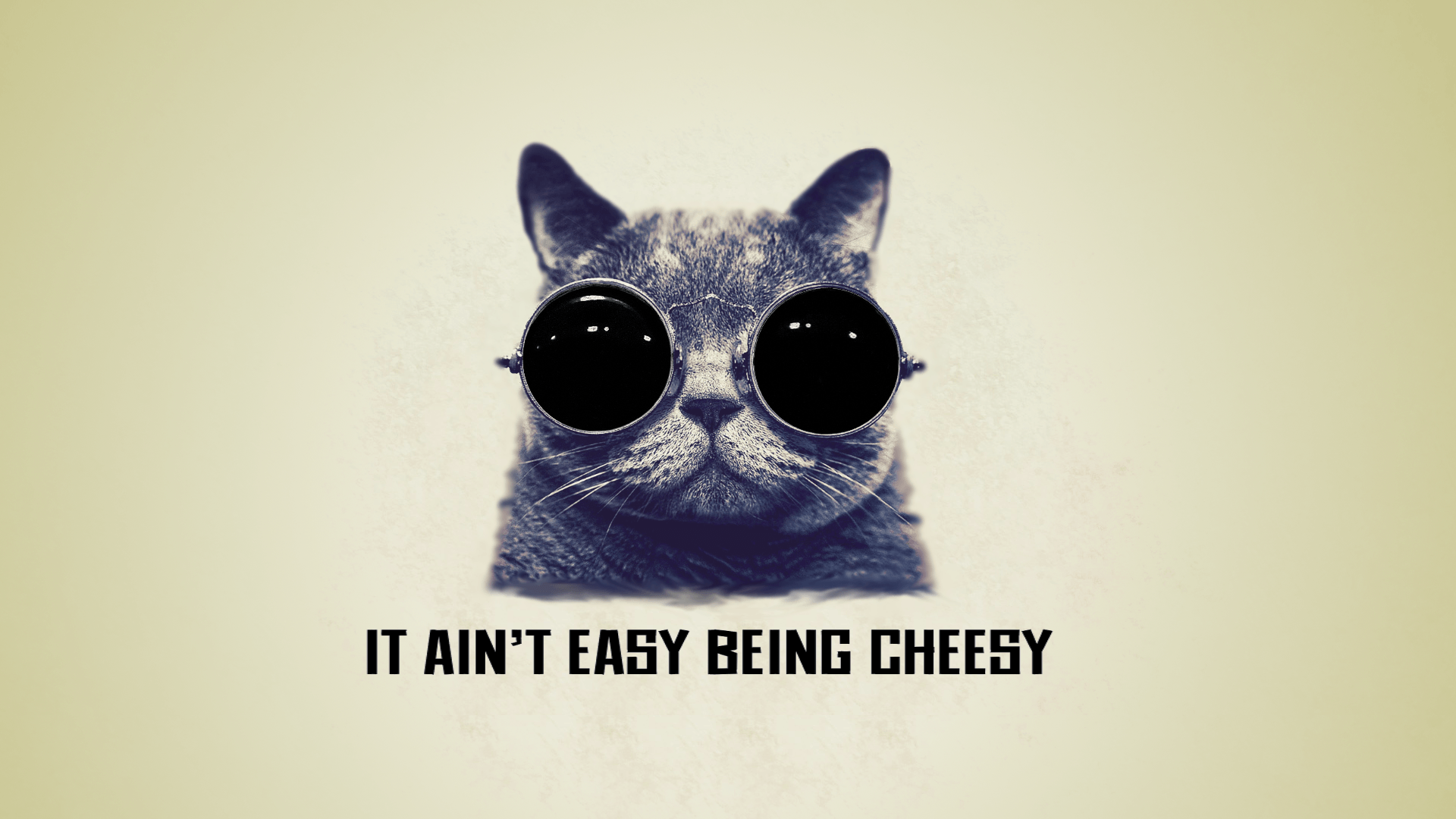 It ain't easy being cheesy cool cat wallpaper
