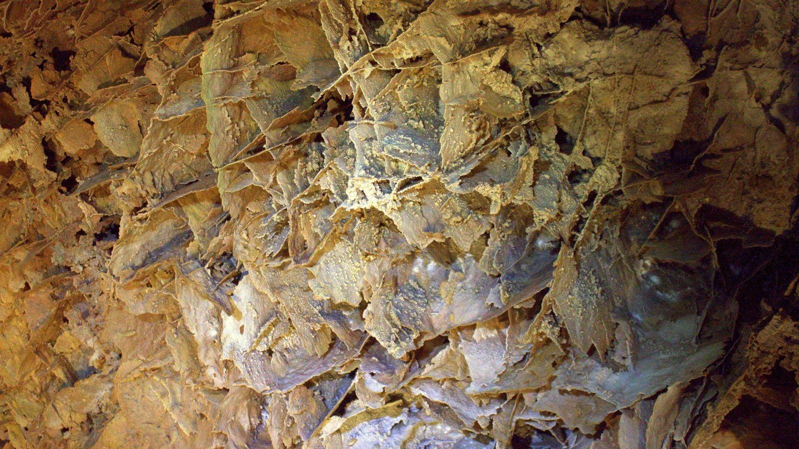 Wind Cave National Park