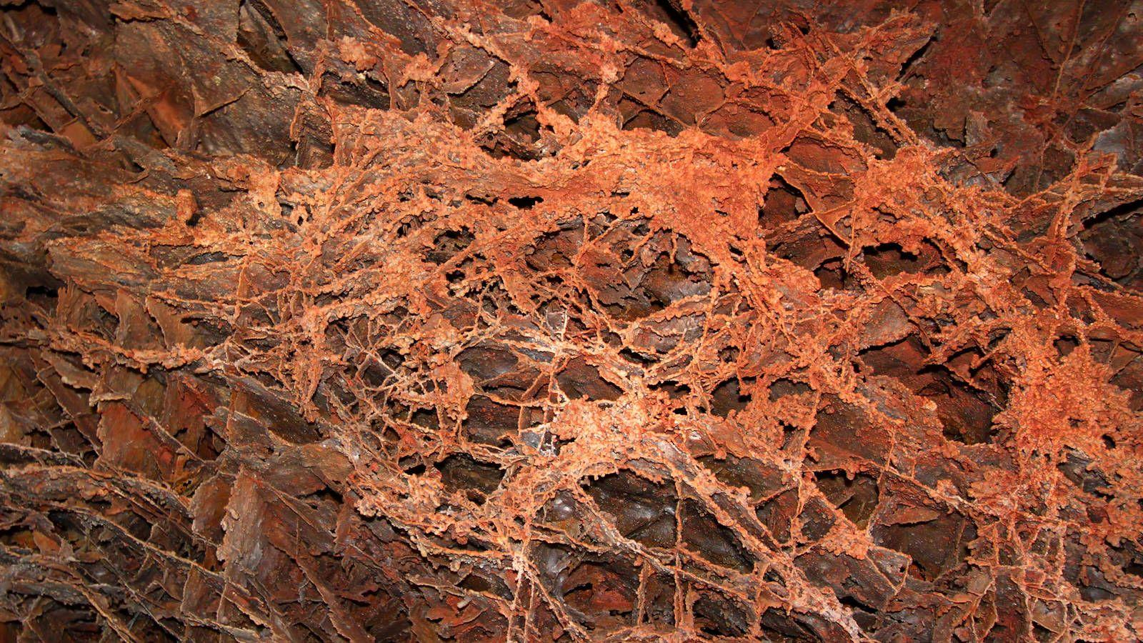 Rock On: 11 Lesser Known Geologic Wonders In National Parks