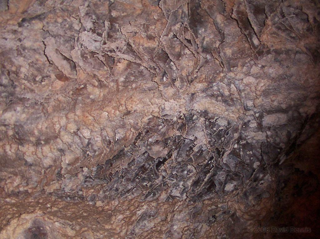 South Dakota's Wind Cave National Park Wallpaper Photographs