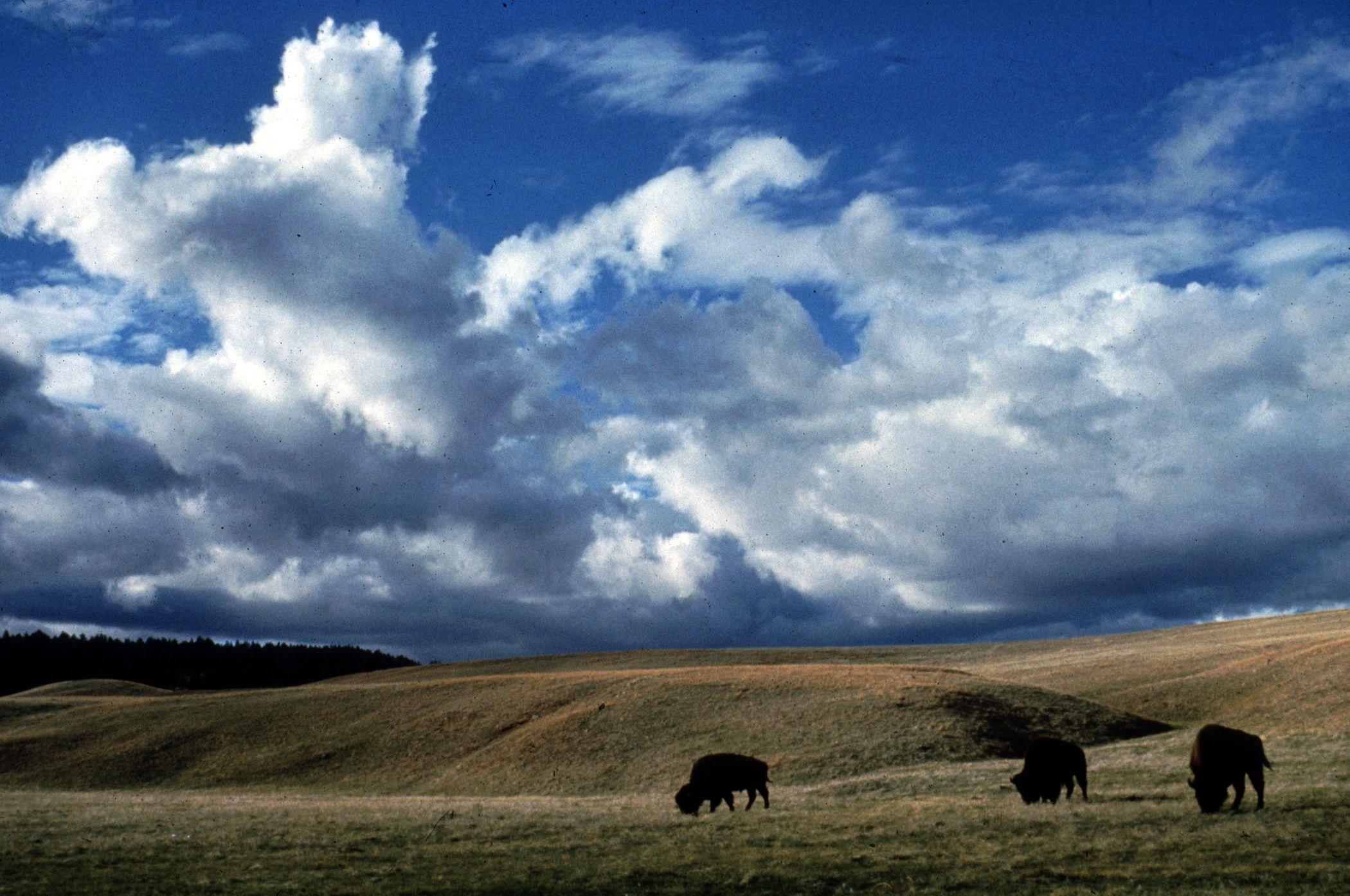 u.s. national parks. Wind Cave National Park US Highway
