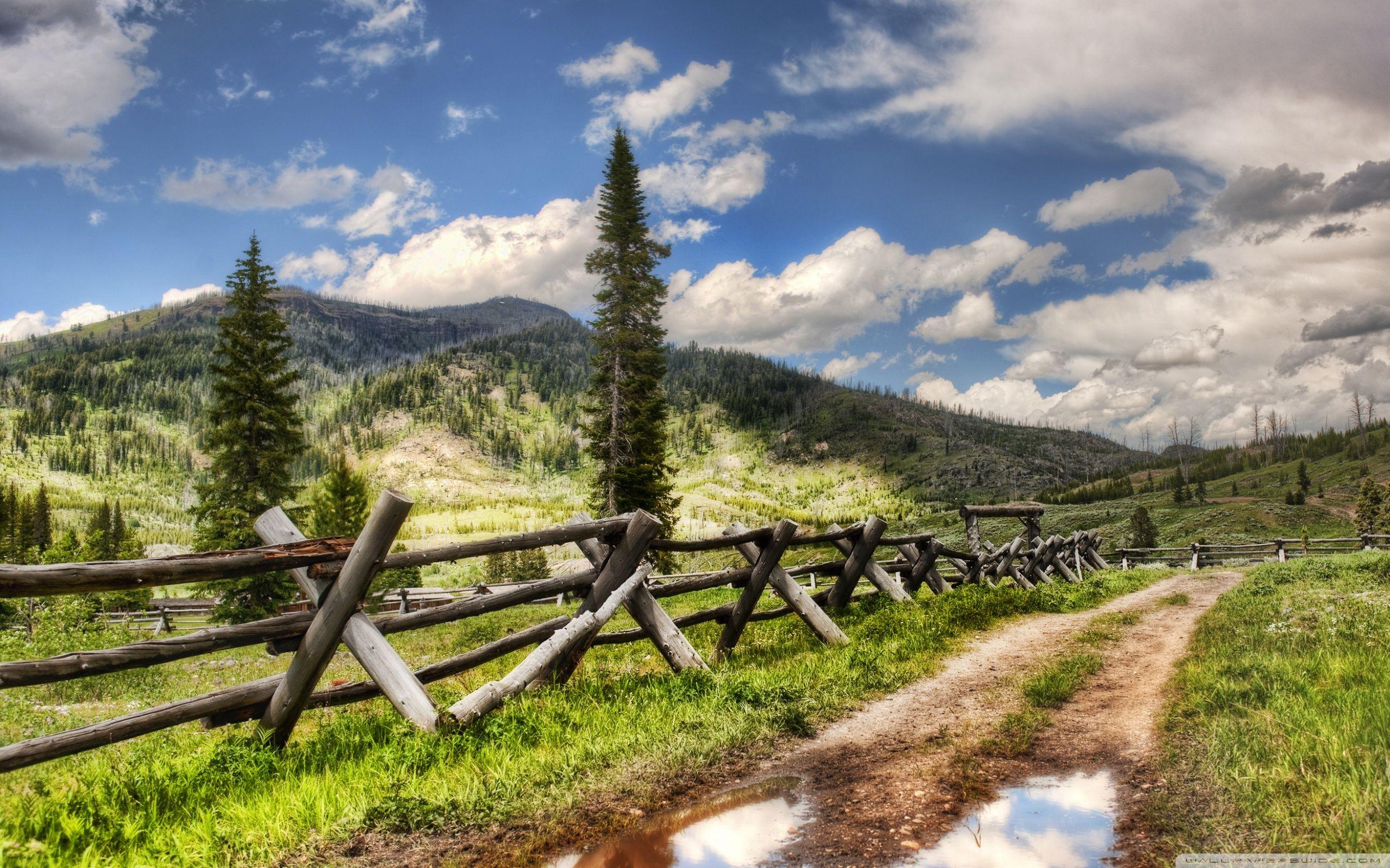 Yellowstone National Park ❤ 4K HD Desktop Wallpaper for 4K Ultra