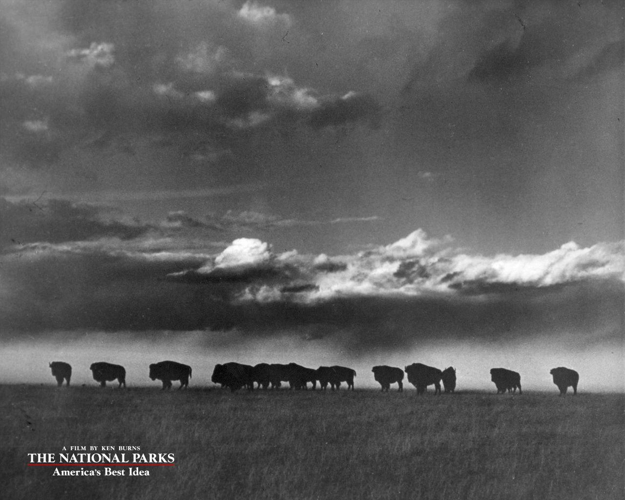 The National Parks: America's Best Idea: Download Wallpaper
