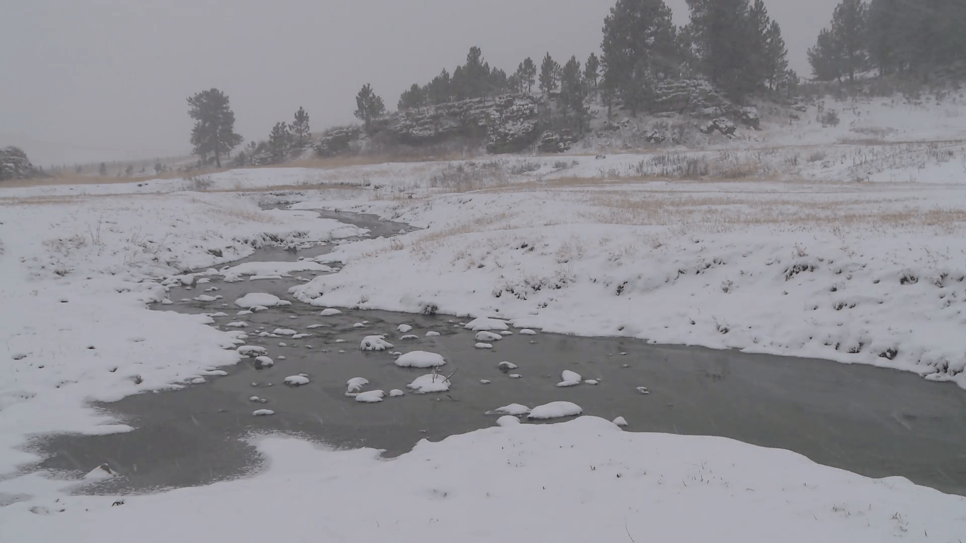 River & Stream Wind Cave National Park Winter Snow Stock Video