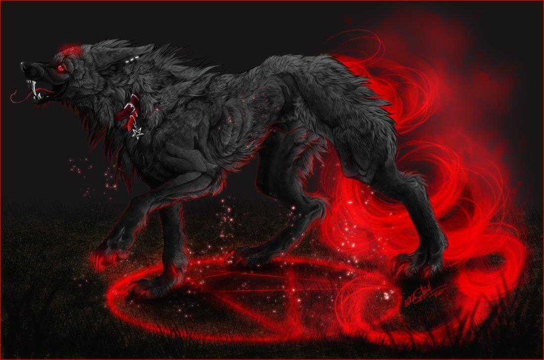 Wolves, Lycans, Werewolves and Hellhounds. Wolf