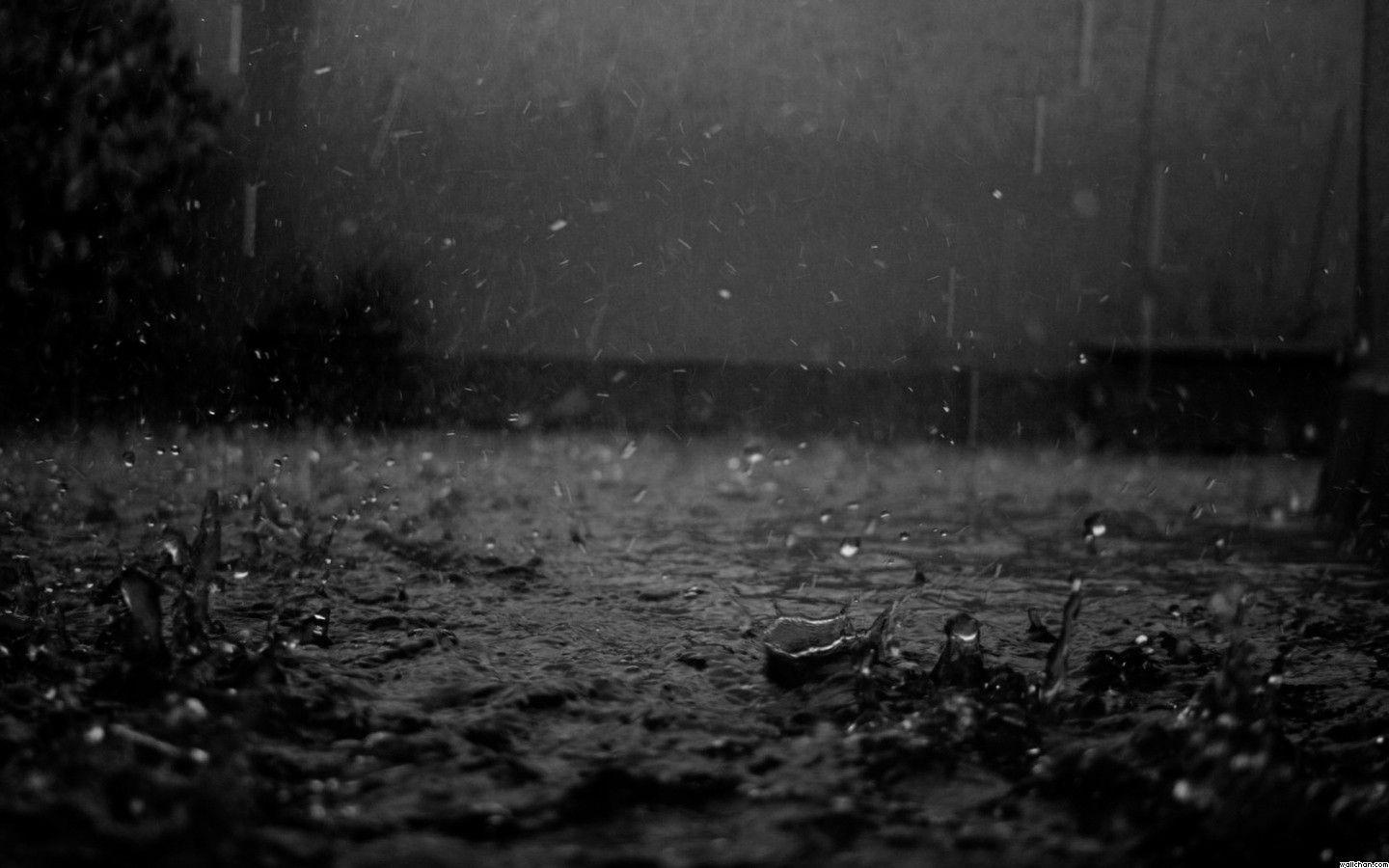 Wallpaper HD For Rain Drops On Coffee Bean Widescreen Dark Rainy