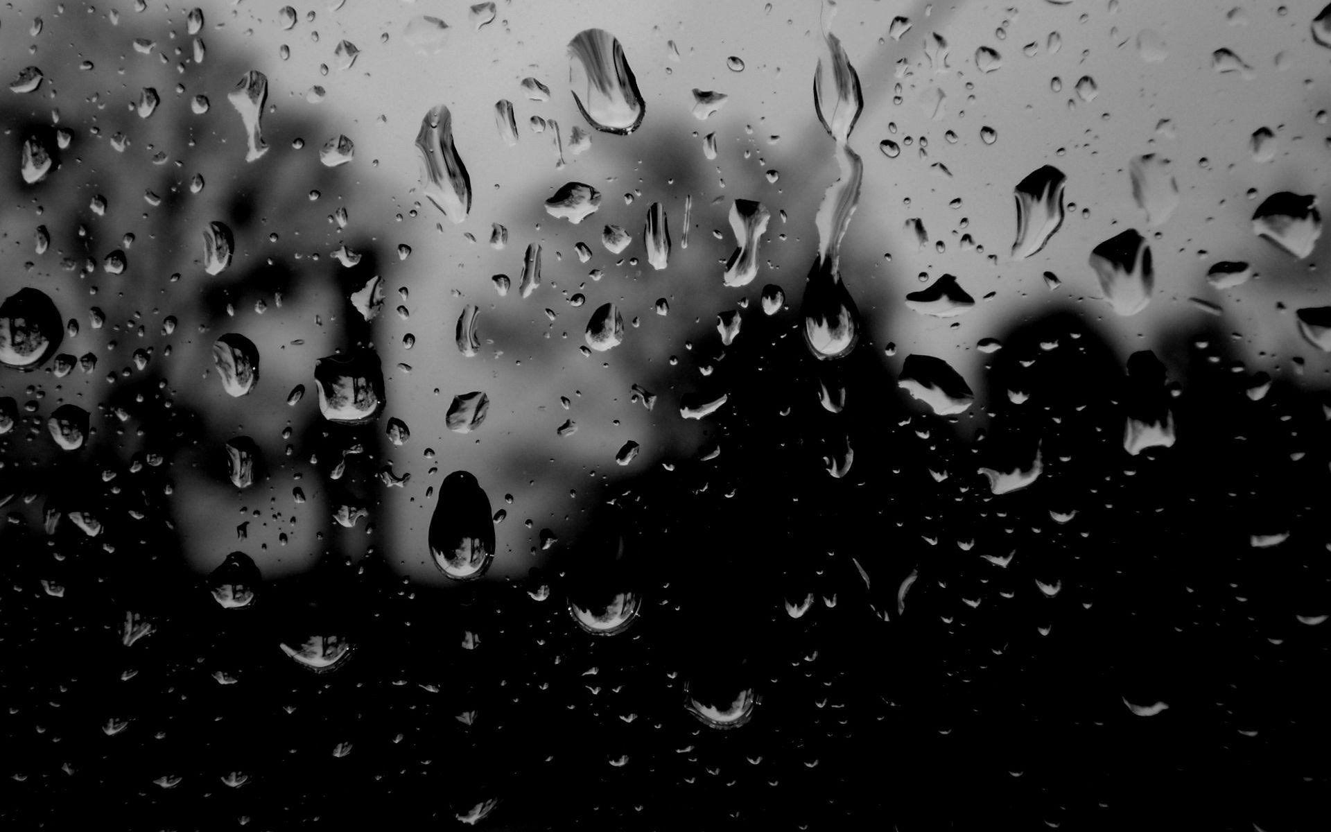 Rainy Night 588616