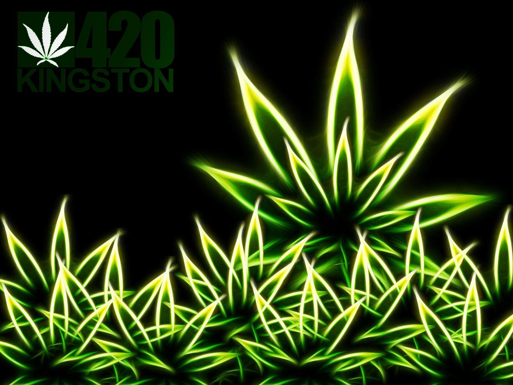 mj weed marijuana leaves wallpaperx1350