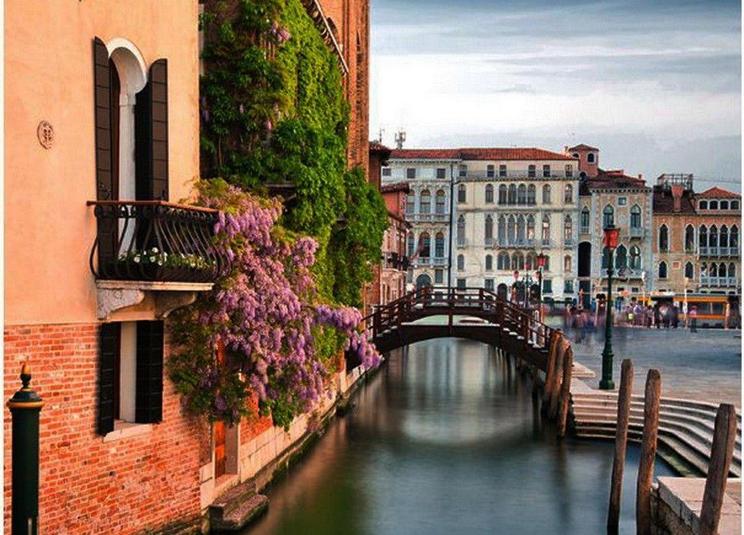 Other: Spring Venice Italy Venecia Flowers Houses Sky Wonderful