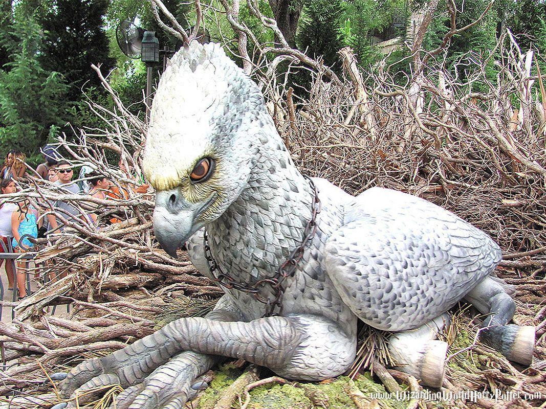 Flight of the Hippogriff « Harry Potter Theme Park