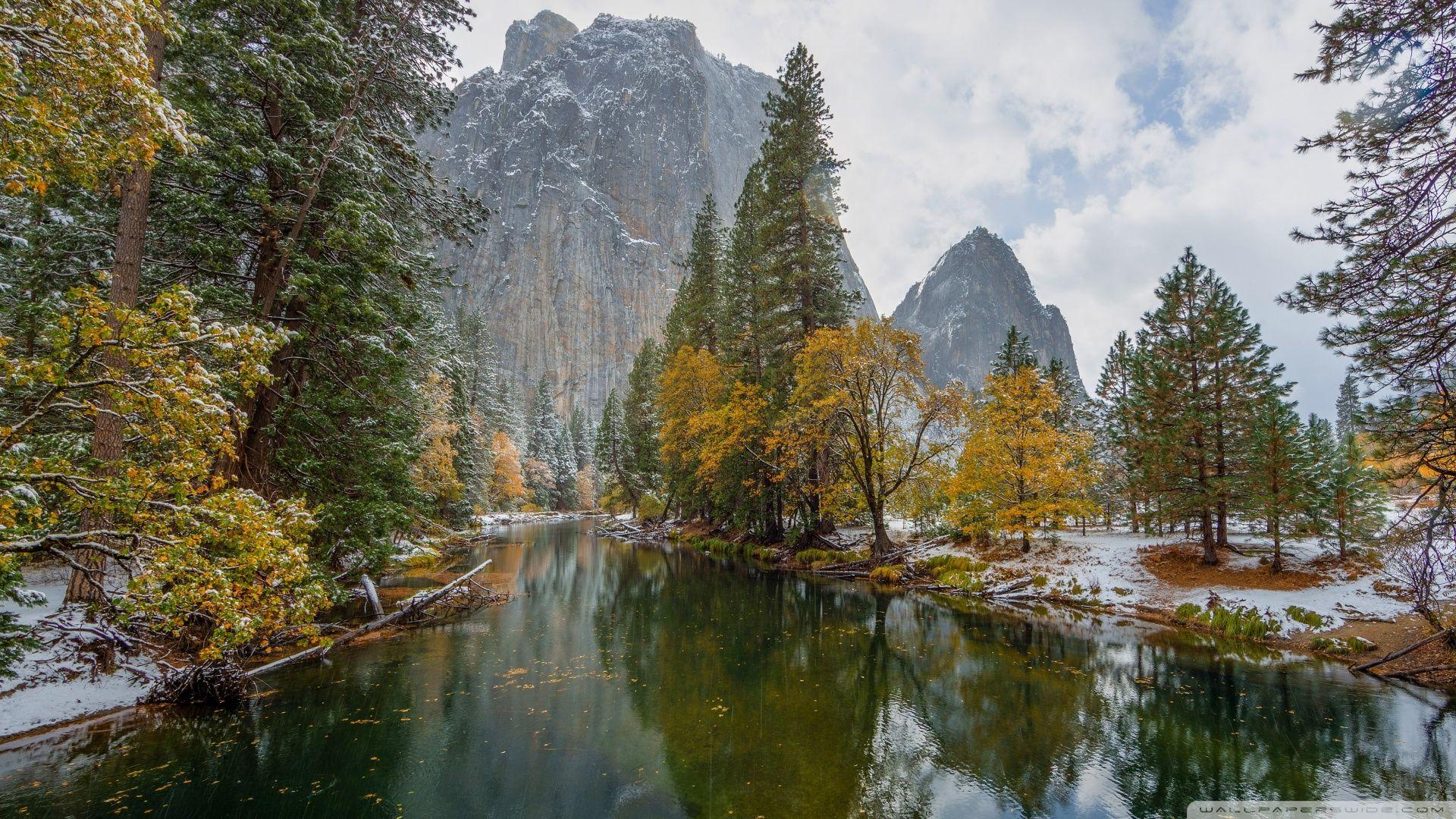 Yosemite National Park Yellow Trees ❤ 4K HD Desktop Wallpaper
