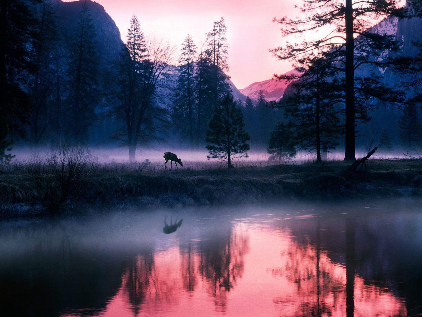 Mystical Waters Yosemite National Park California HD Wallpaper