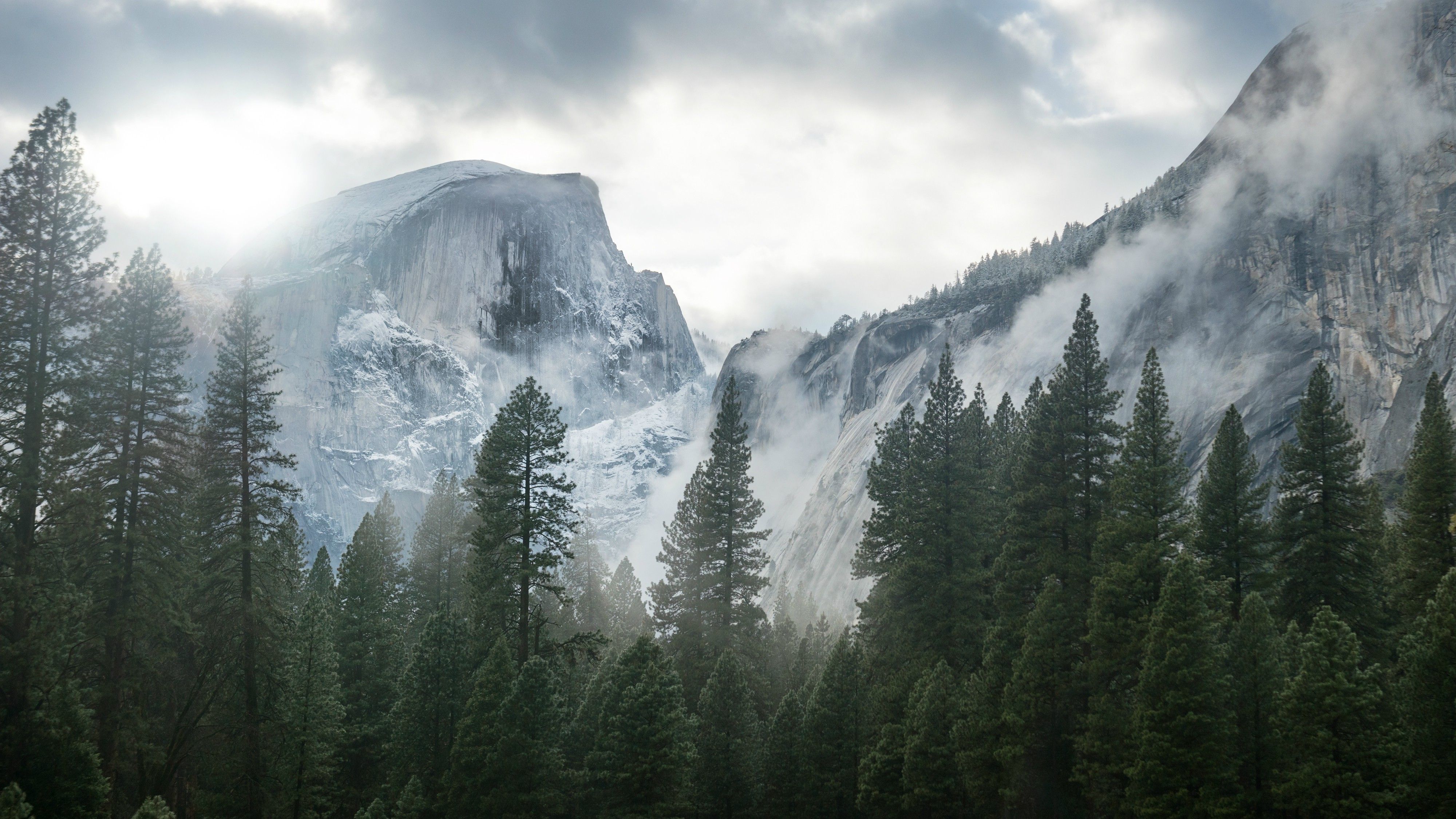 Yosemite National Park, Nature, Mountain, Trees, Mist Wallpaper